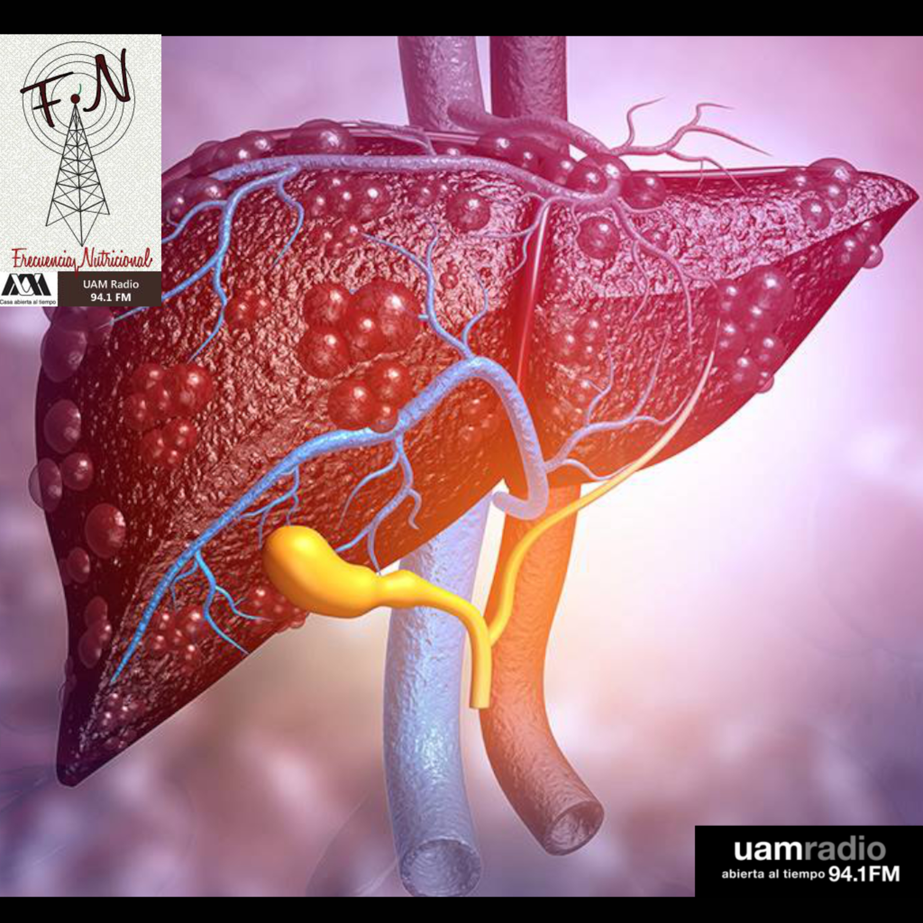 FRECUENCIA NUTRICIONAL