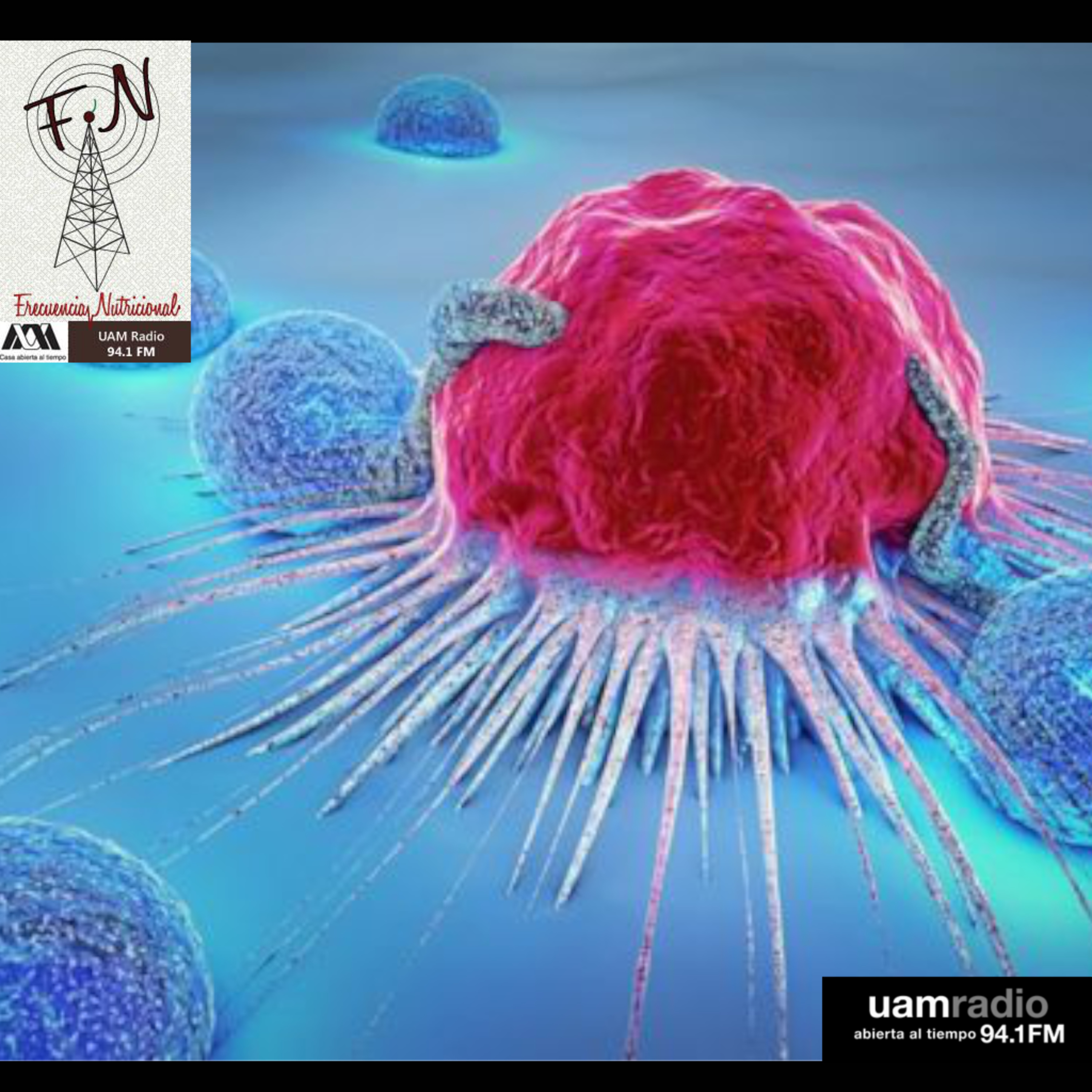 Portada de FRECUENCIA NUTRICIONAL