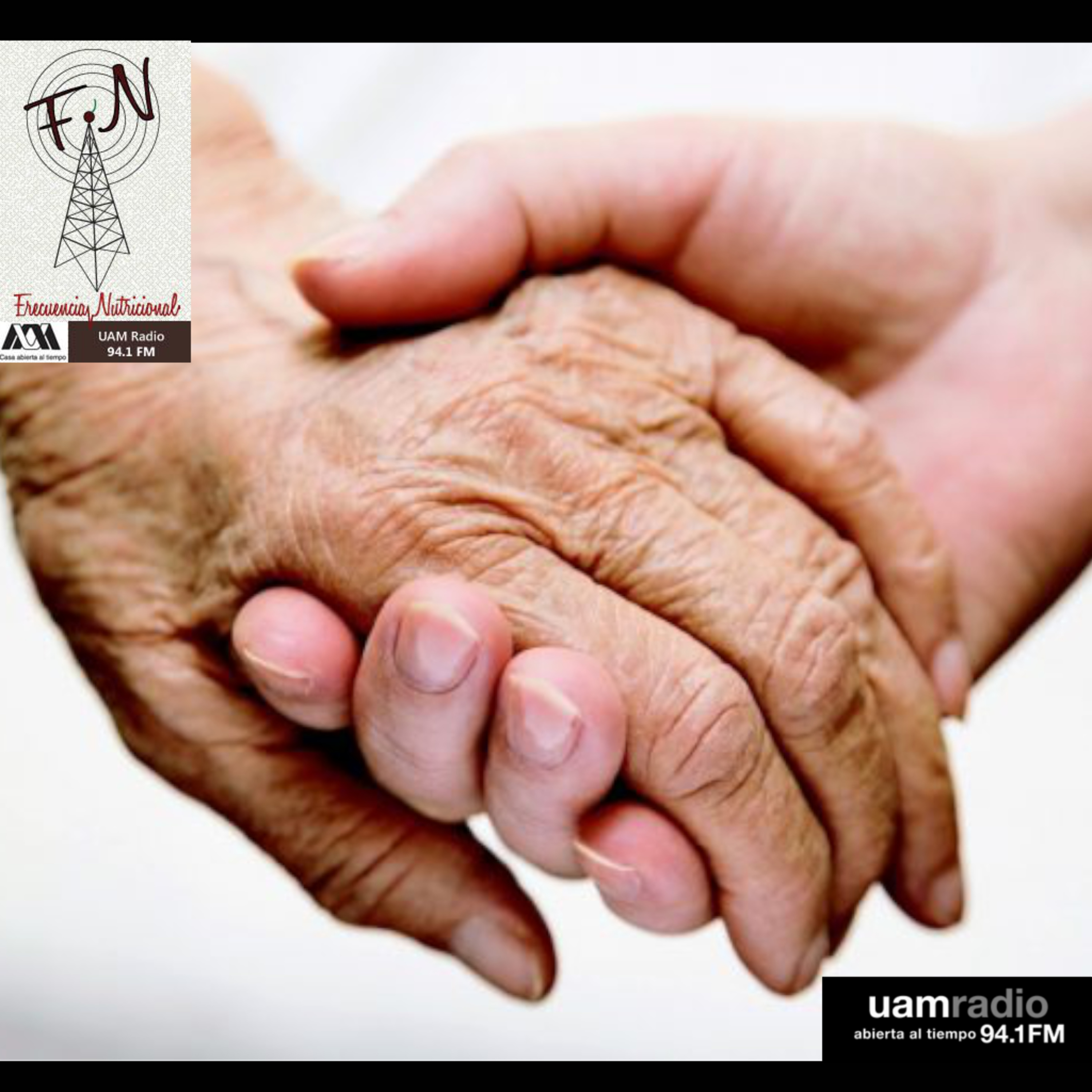 FRECUENCIA NUTRICIONAL