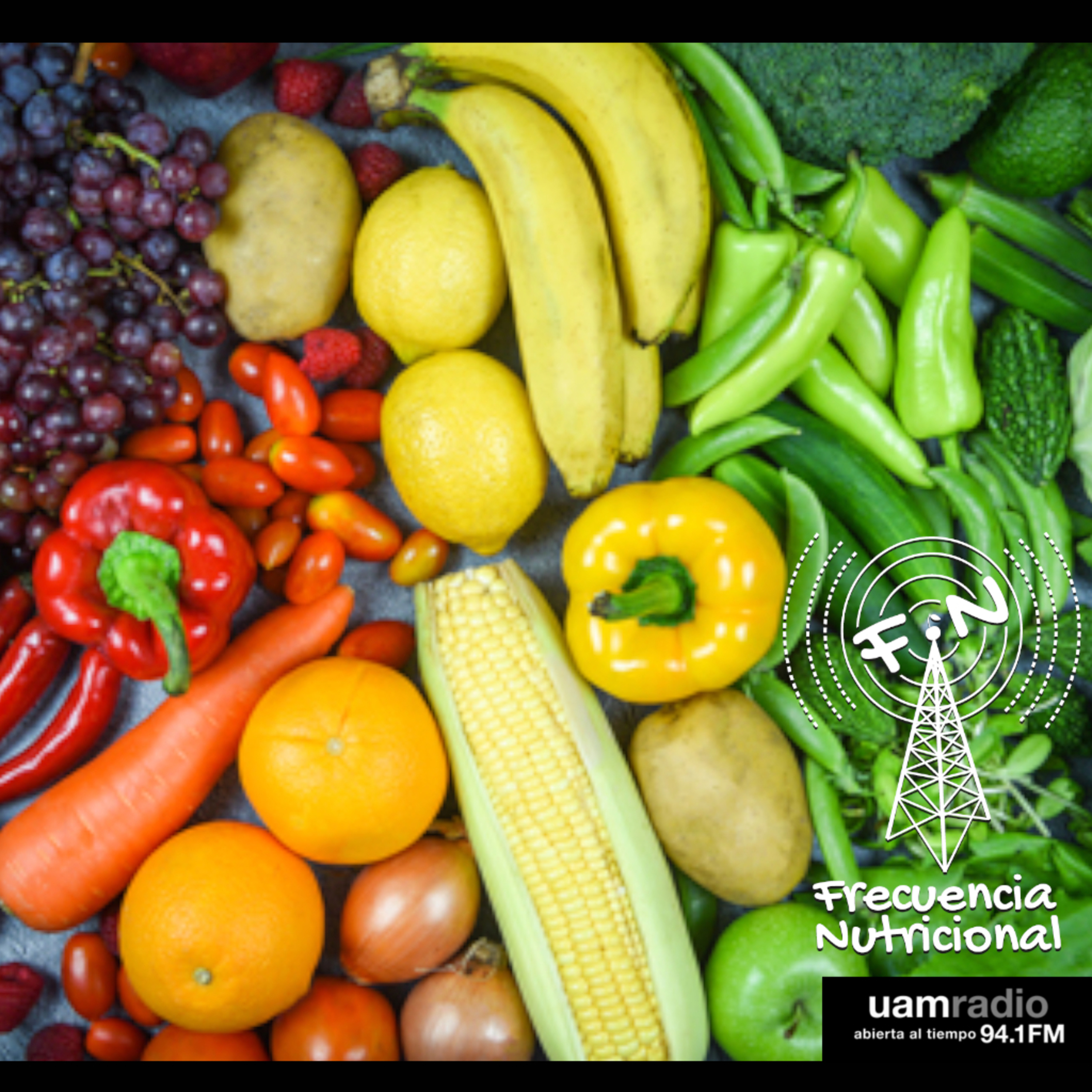 Portada de FRECUENCIA NUTRICIONAL