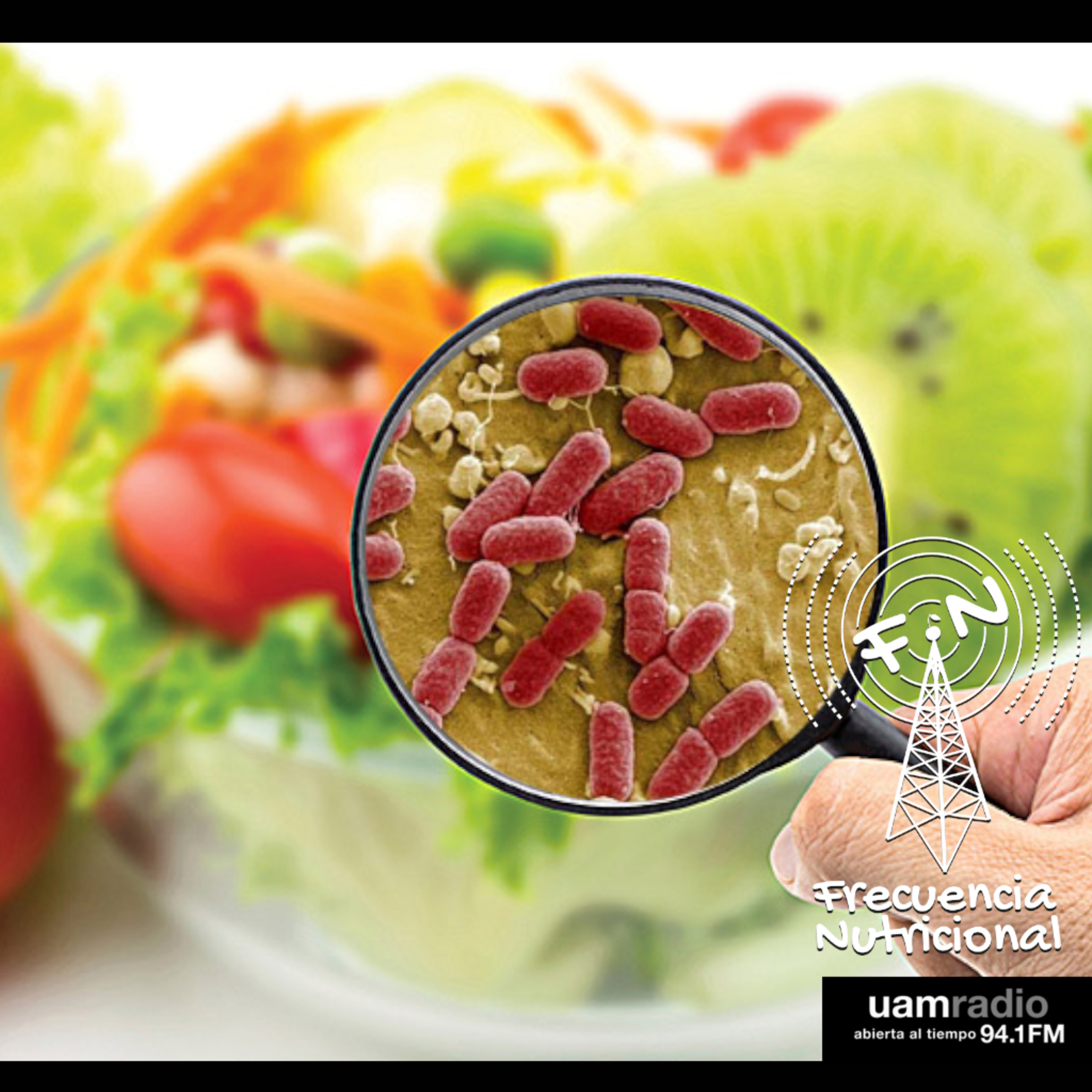 FRECUENCIA NUTRICIONAL