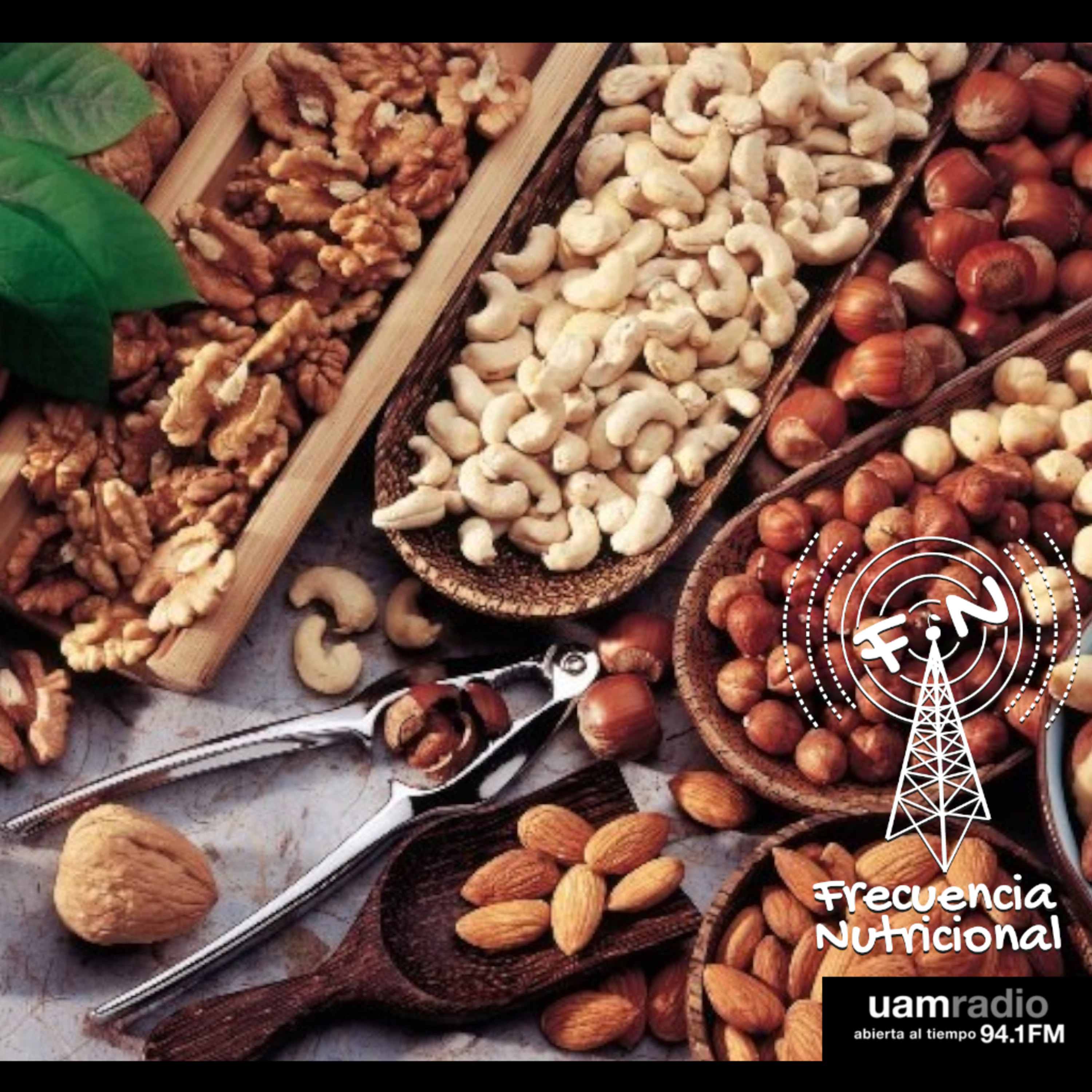 Portada de FRECUENCIA NUTRICIONAL