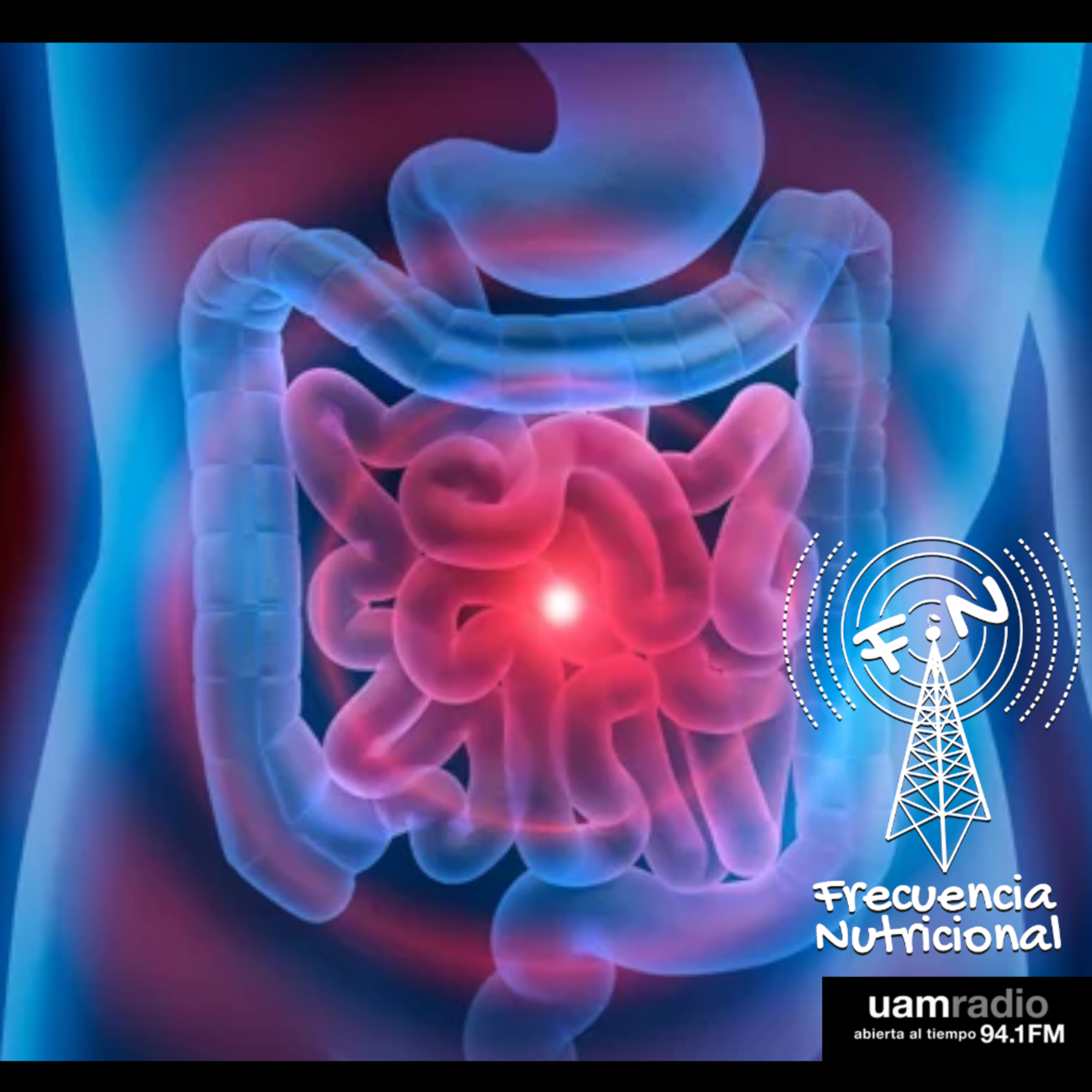 Portada de FRECUENCIA NUTRICIONAL
