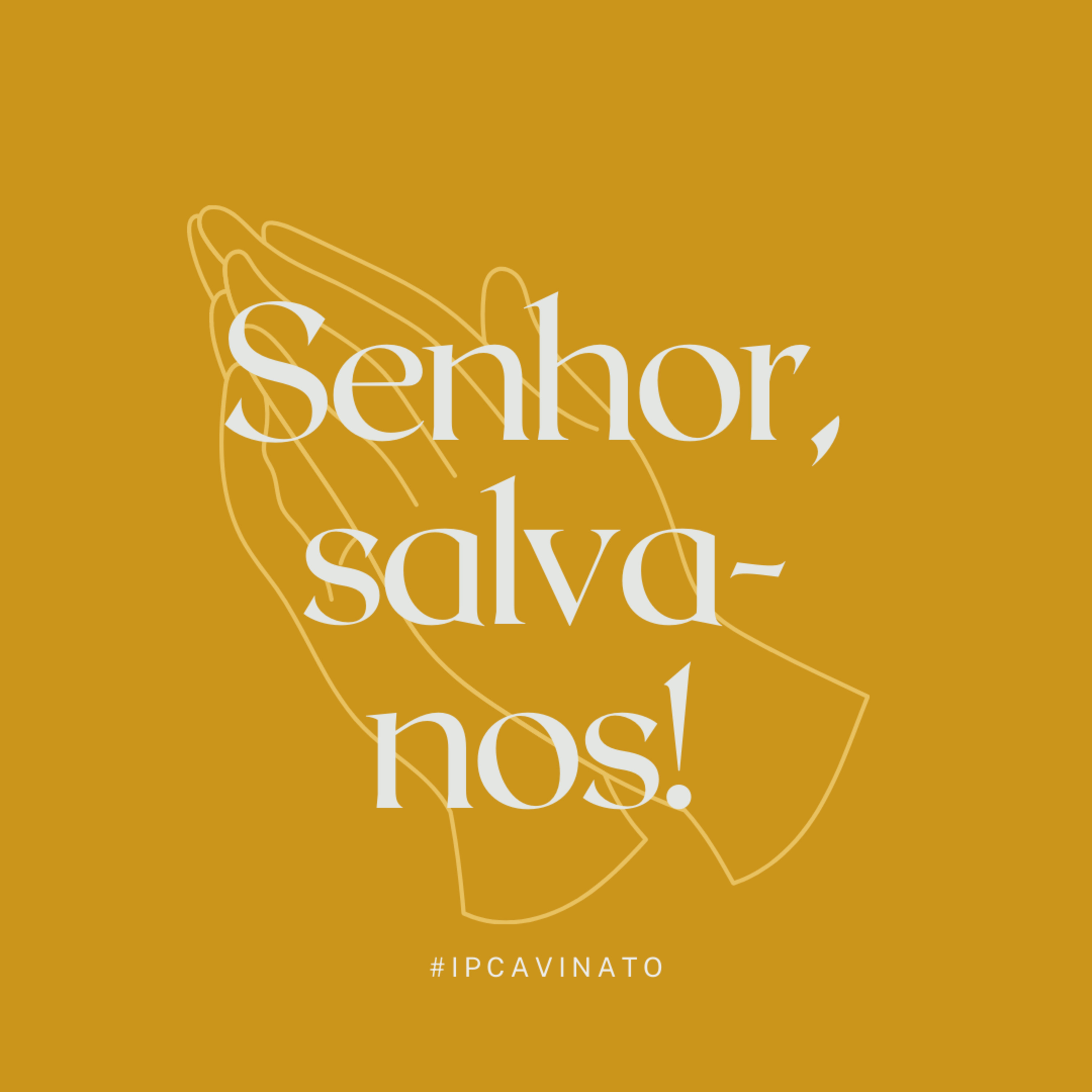 ipcavinato