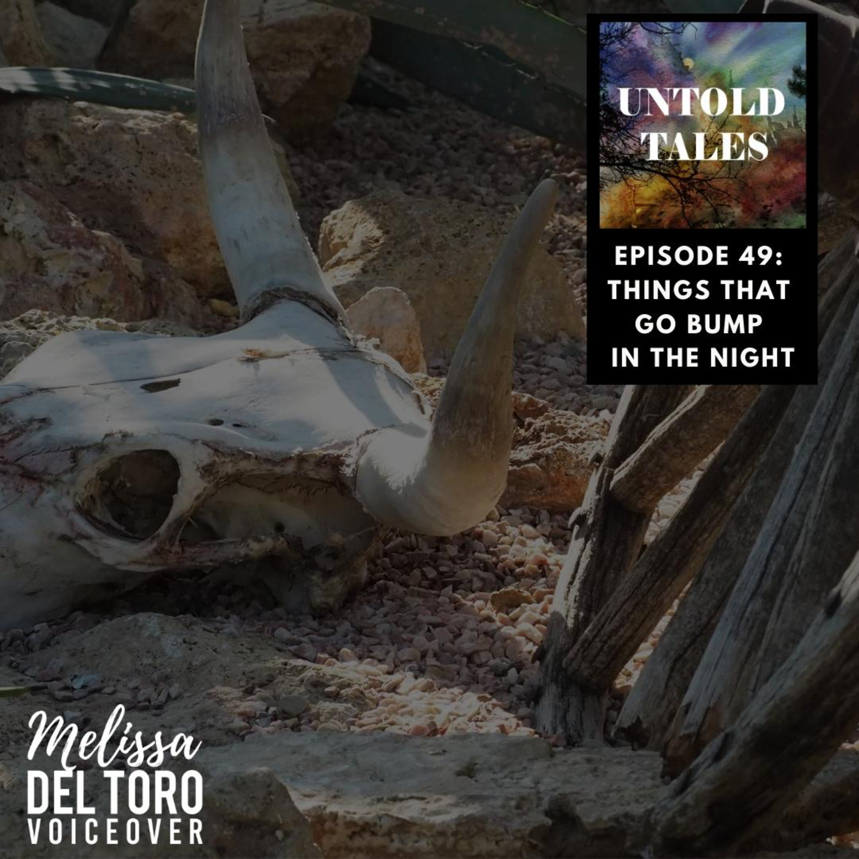 Untold Tales