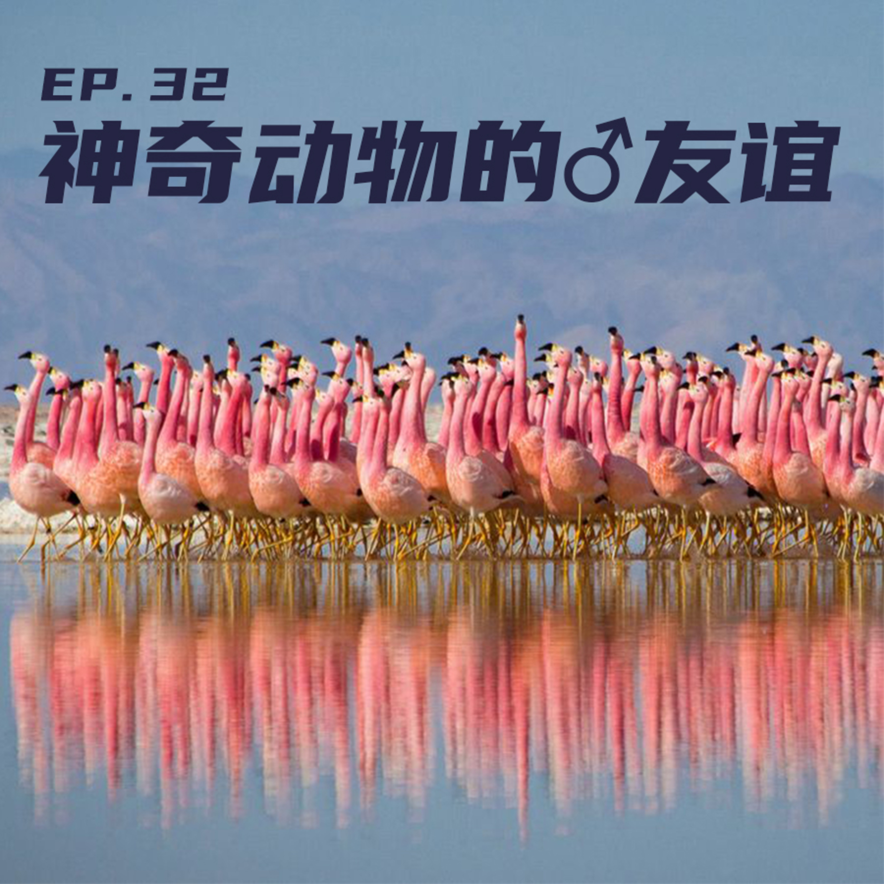 EP32 神奇动物的♂友谊 episode artwork