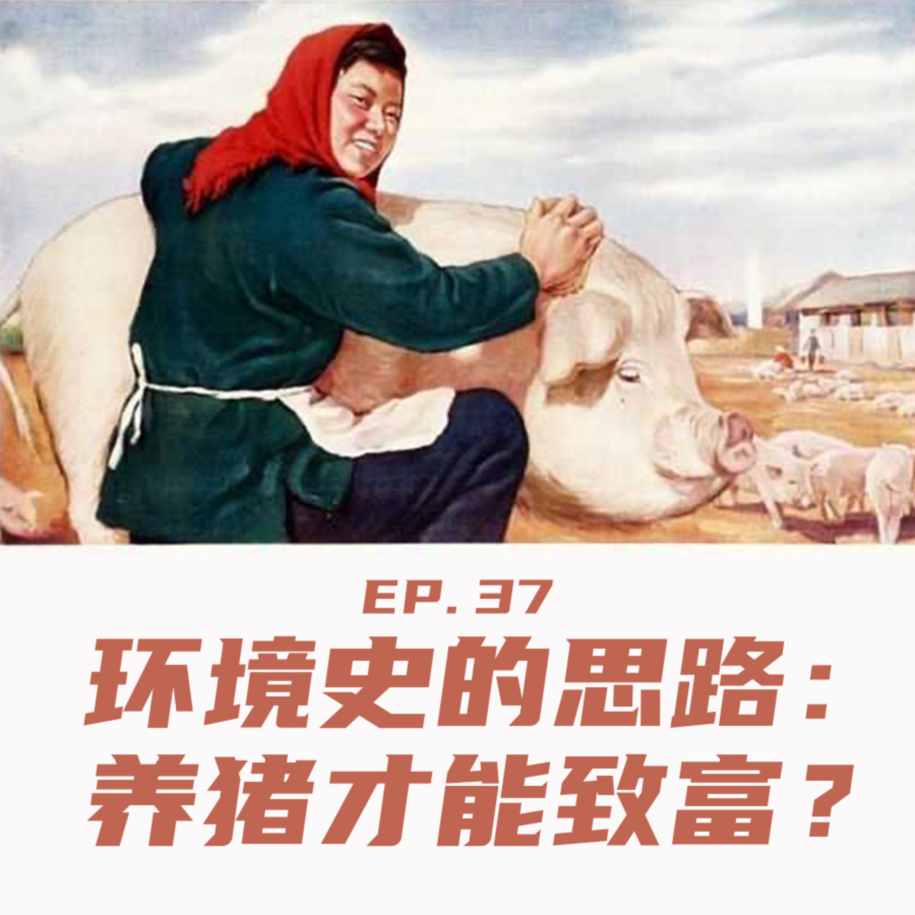 EP37 环境史的思路：养猪才能致富？ episode artwork