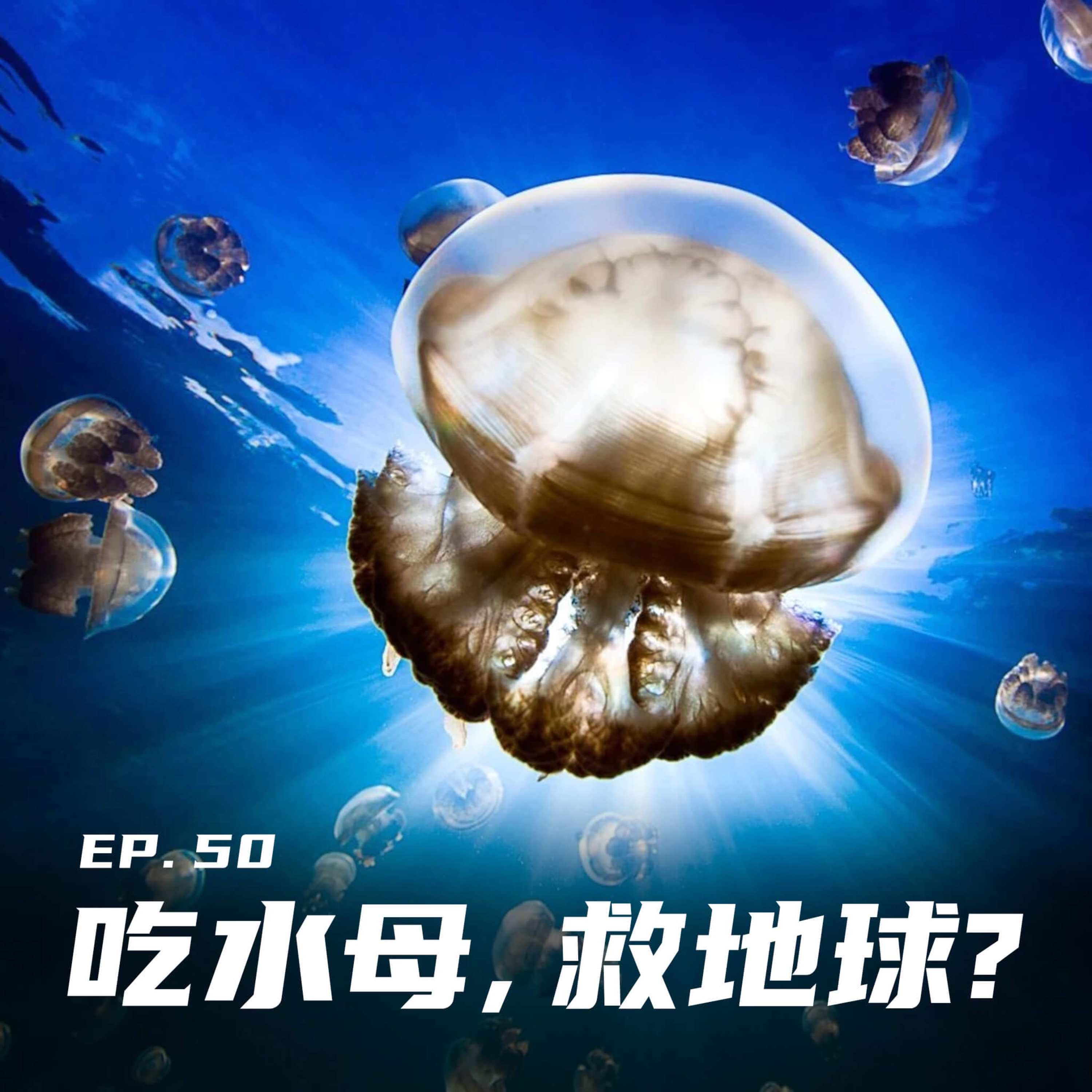 EP50 吃水母也能拯救地球？环保海鲜学小讲堂 episode artwork