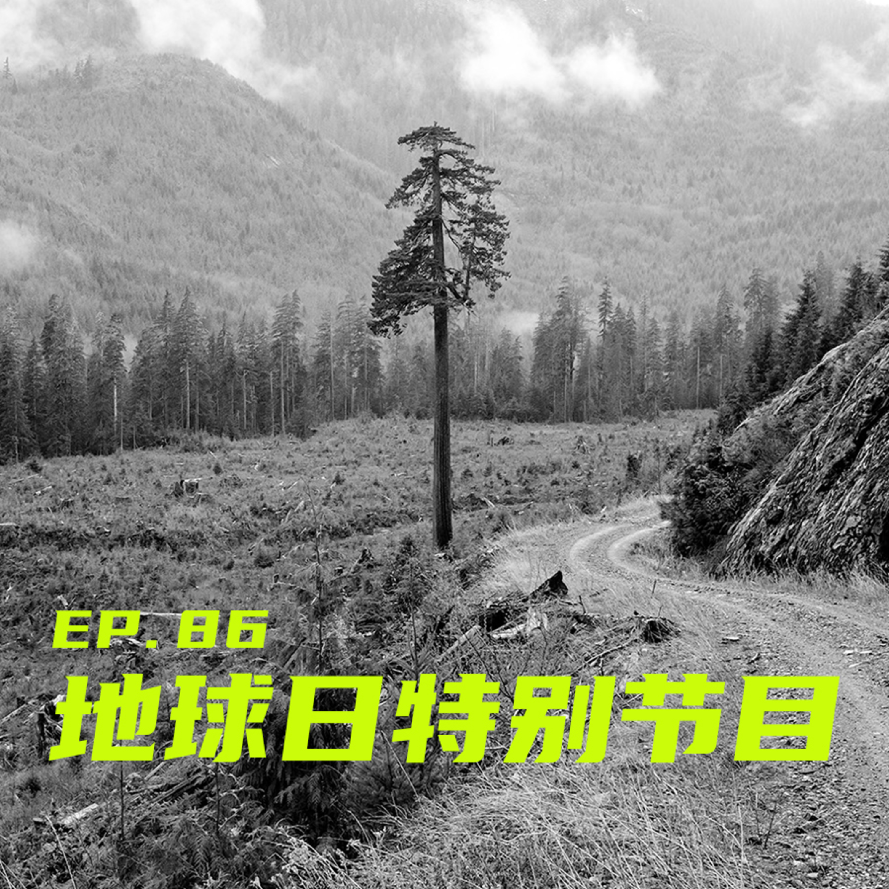 EP86 地球日特别节目：原始森林的二楼有撒哈拉沙漠的骨灰 episode artwork