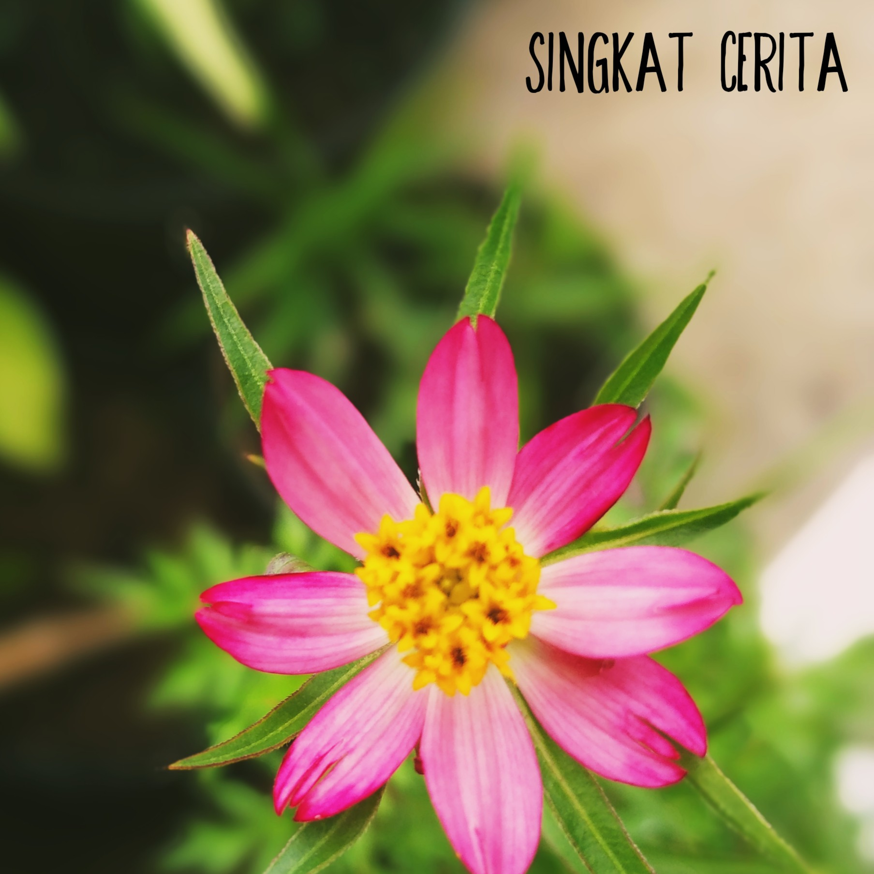 Singkat Cerita