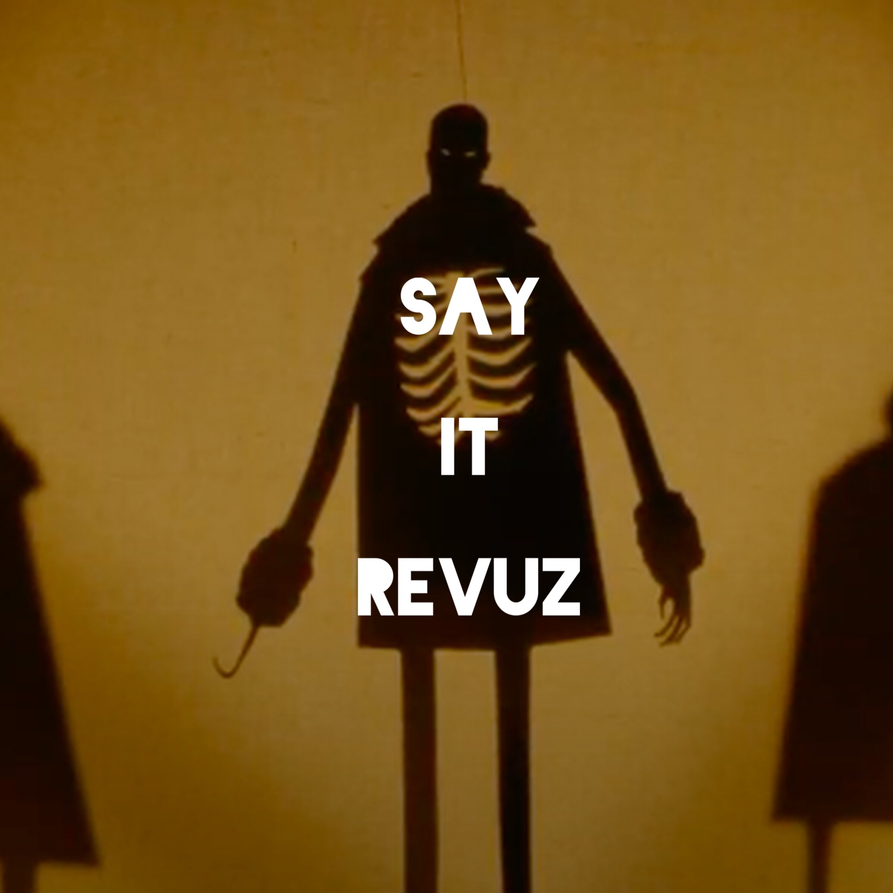REVUZ