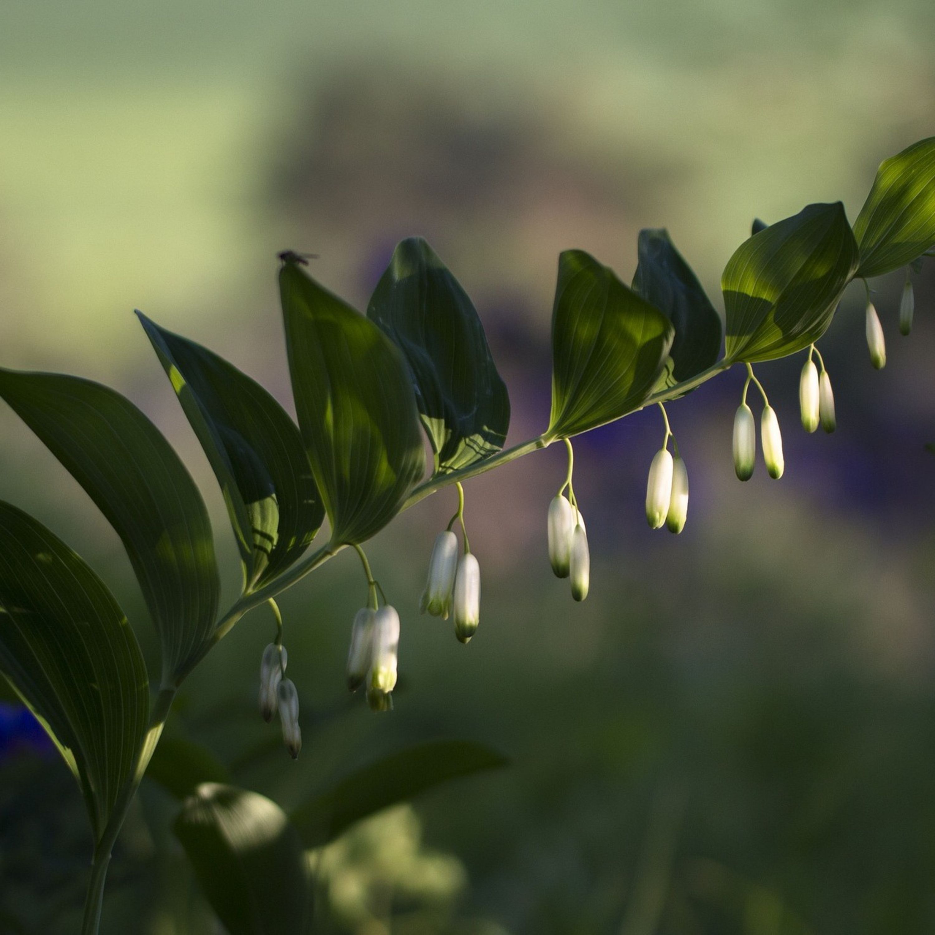 A verdade bíblica como essência de vida