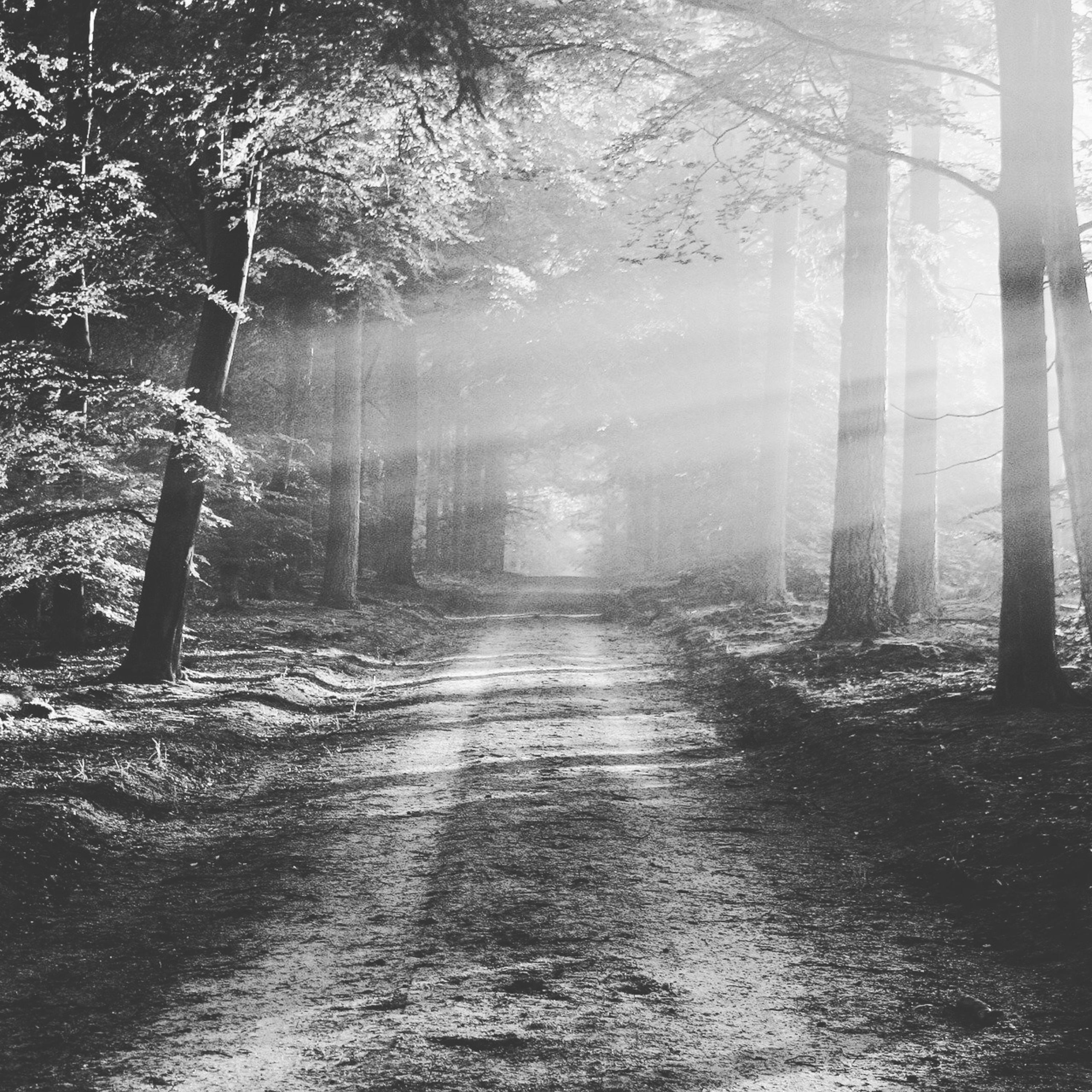 A verdade bíblica como essência de vida