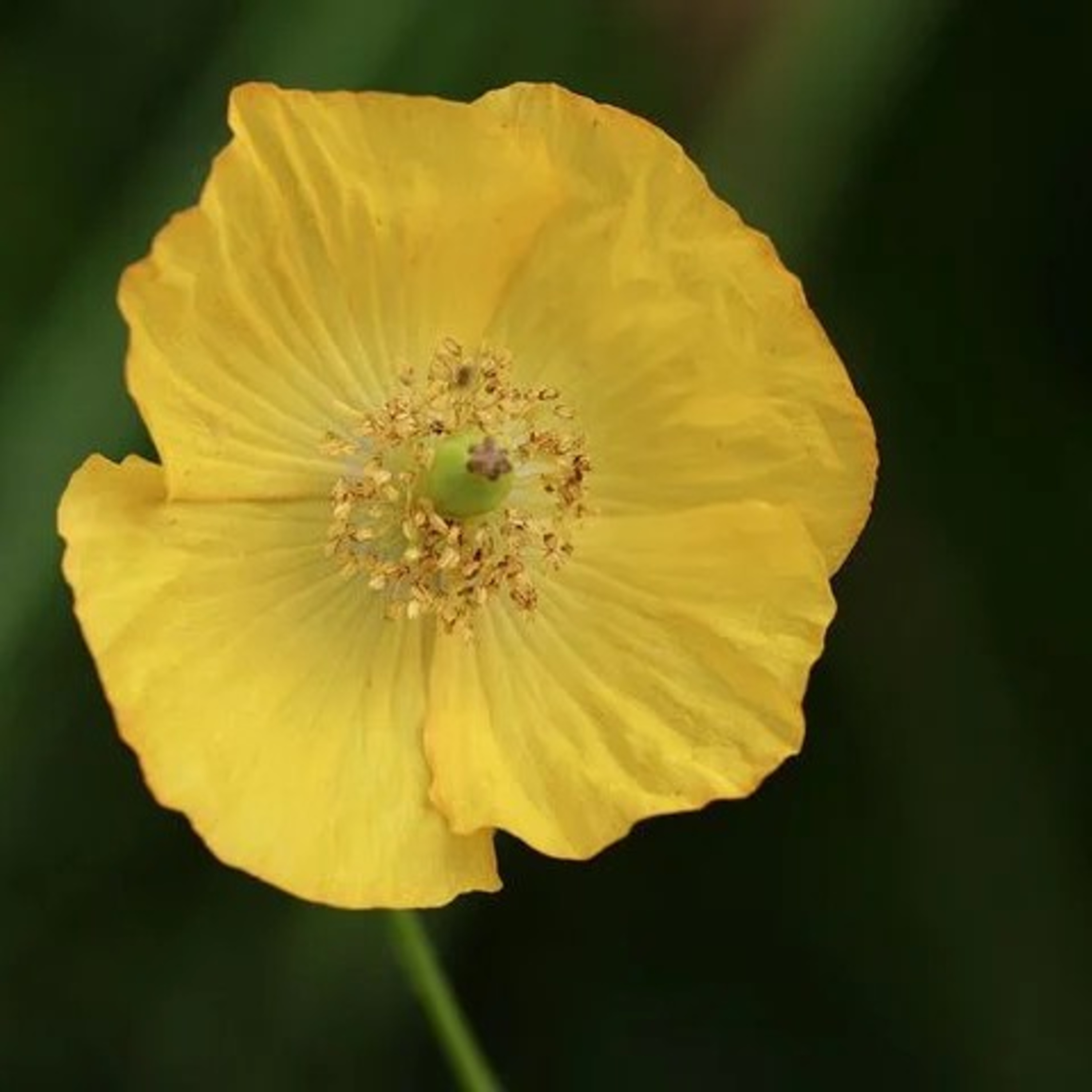 A verdade bíblica como essência de vida