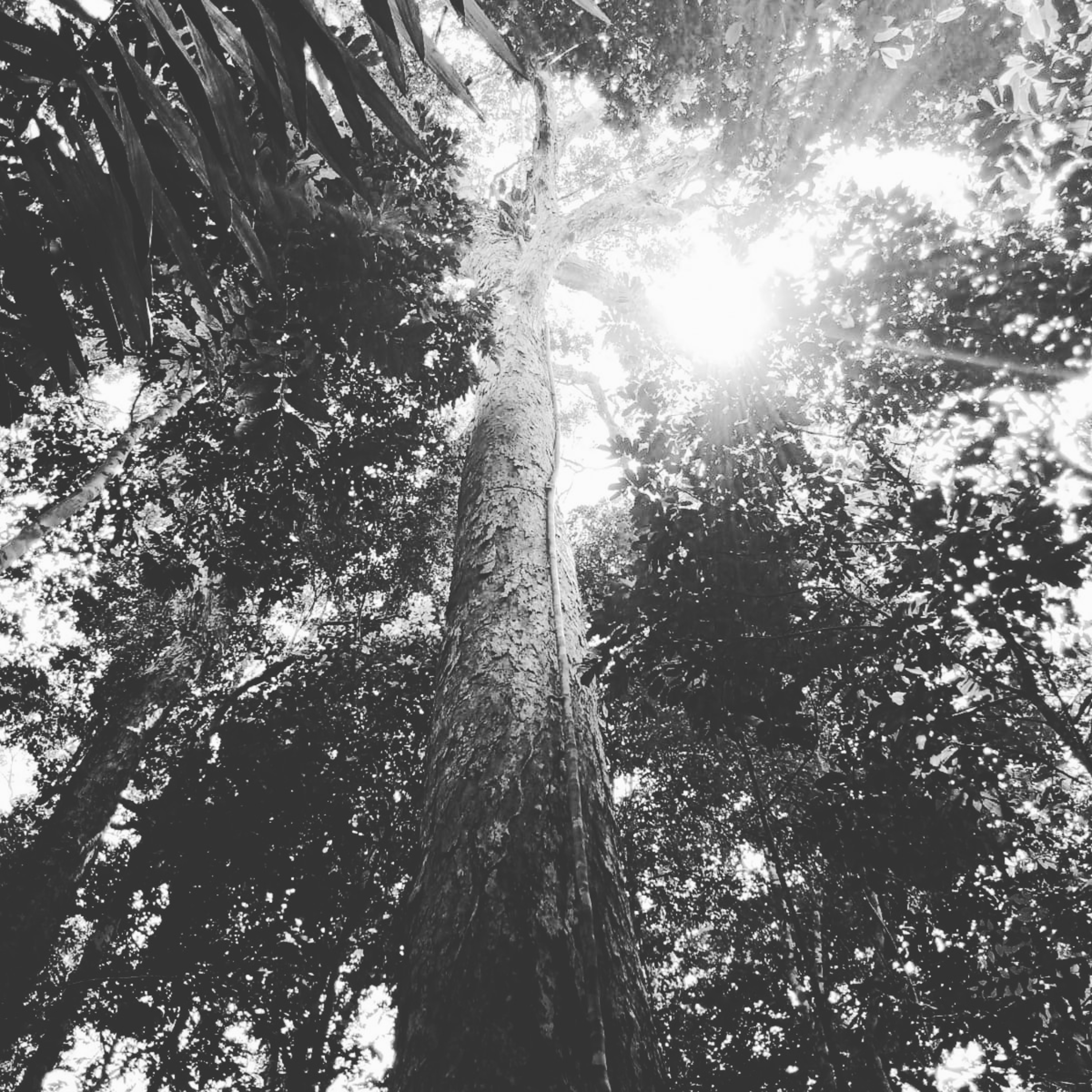 A verdade bíblica como essência de vida