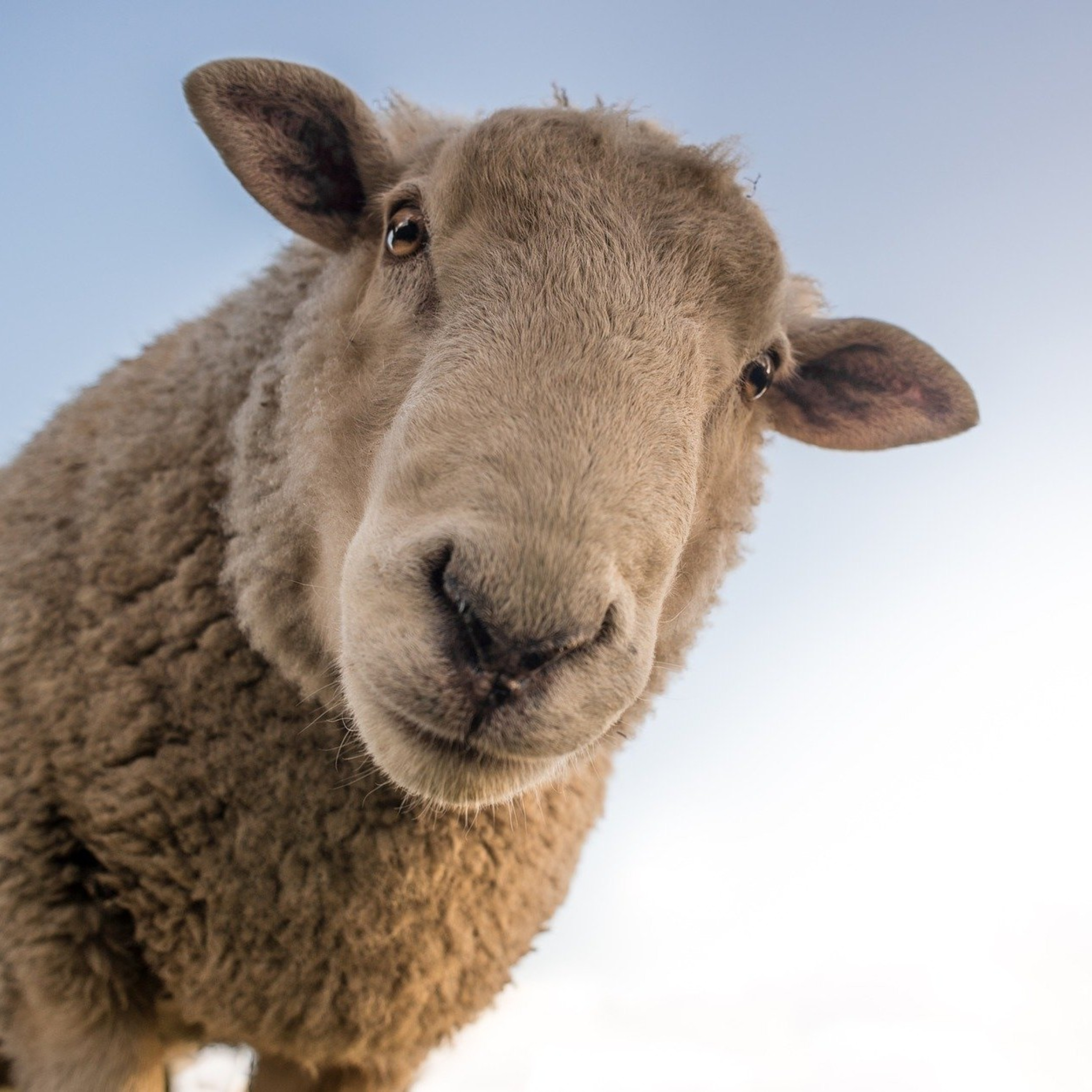 A verdade bíblica como essência de vida