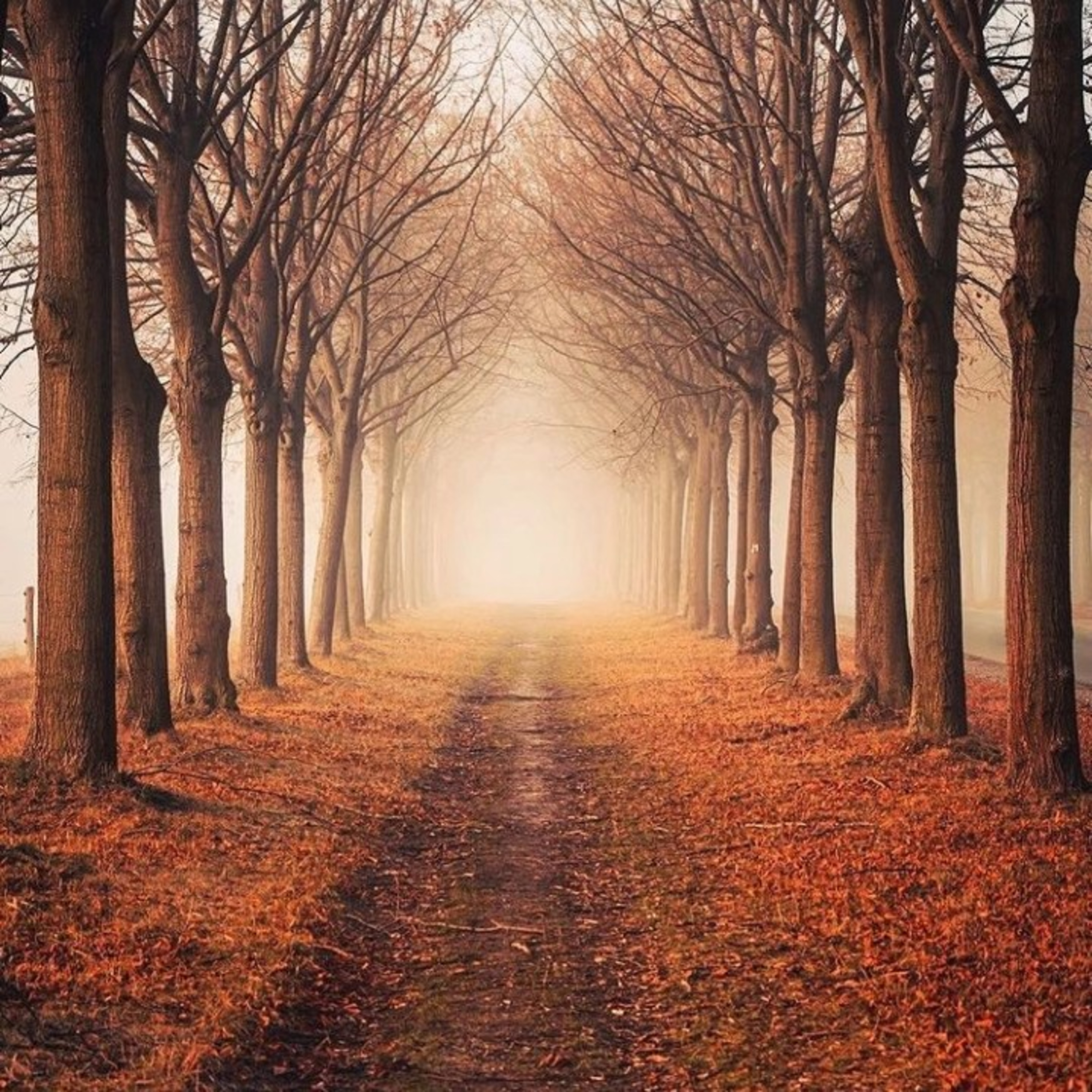 A verdade bíblica como essência de vida