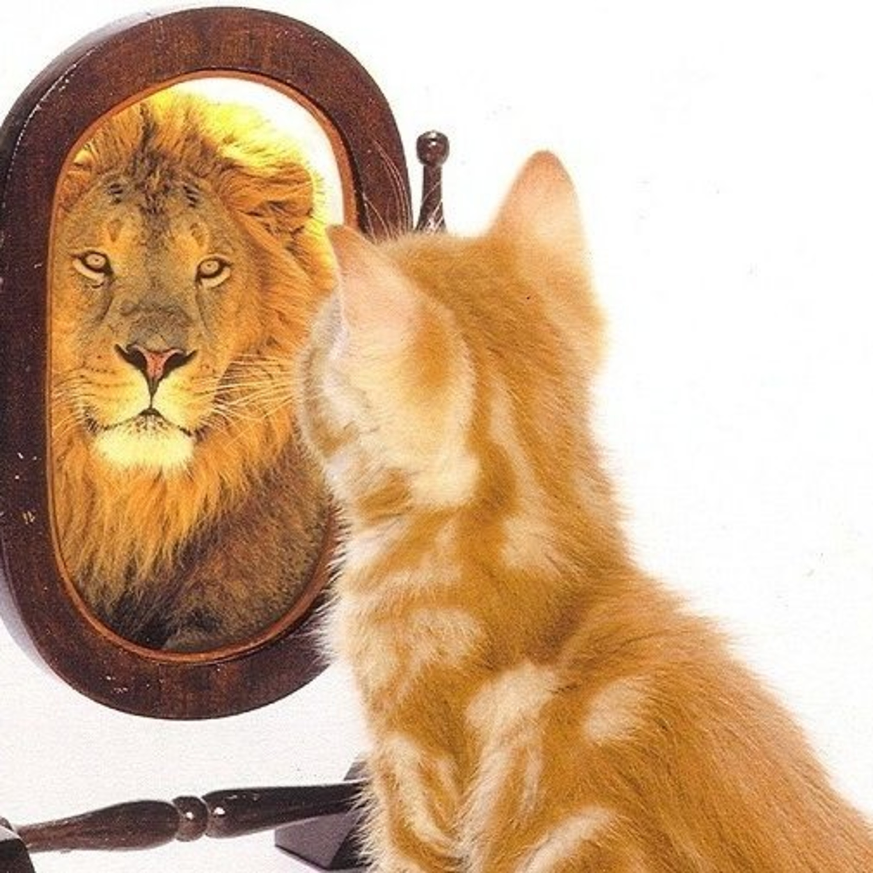 A verdade bíblica como essência de vida