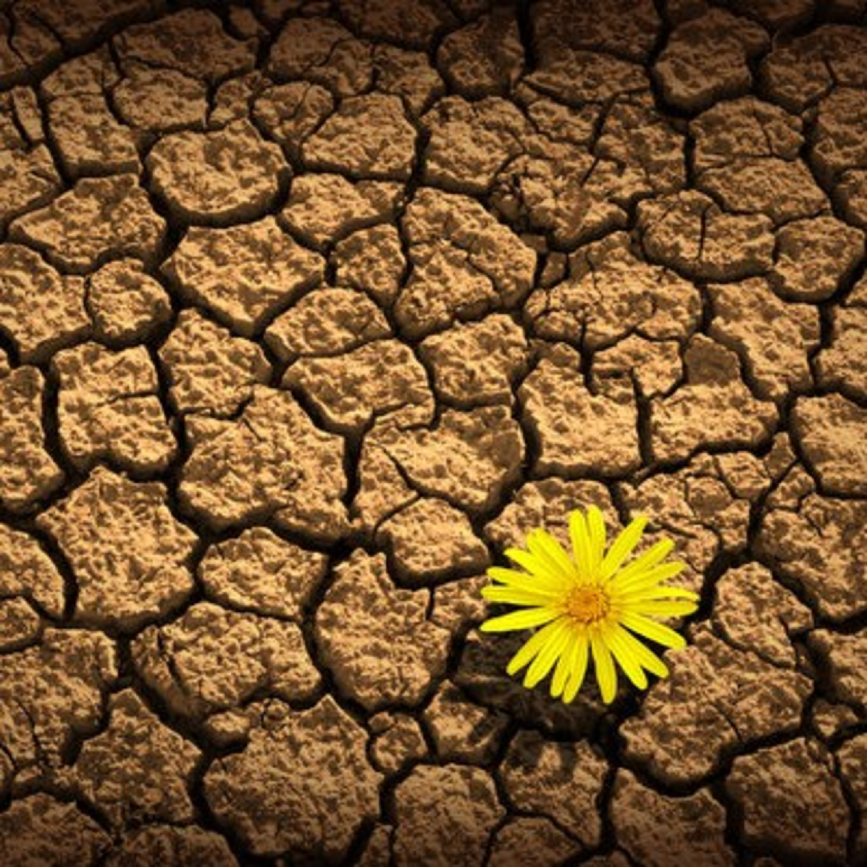 A verdade bíblica como essência de vida