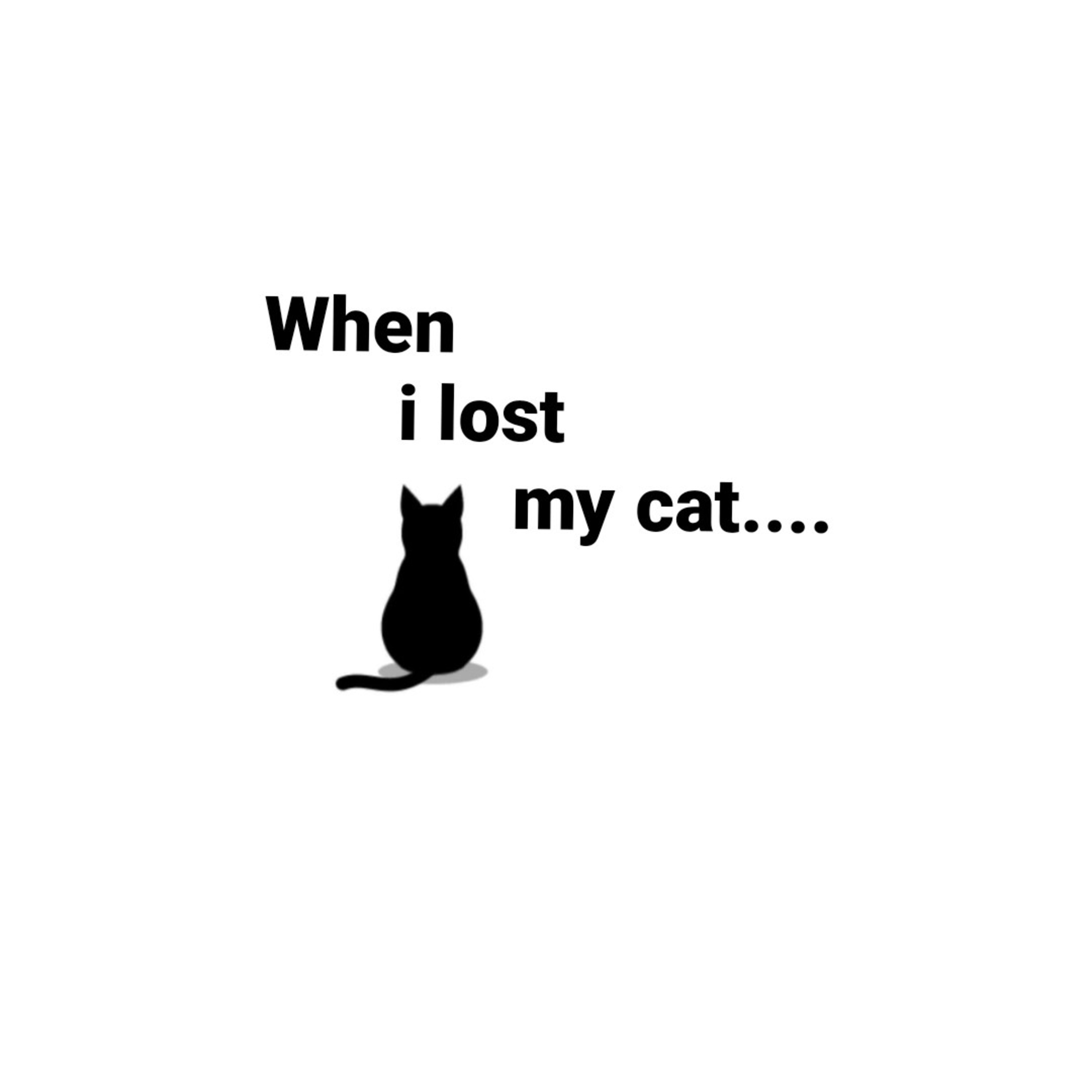 When i lost my cat  episode artwork
