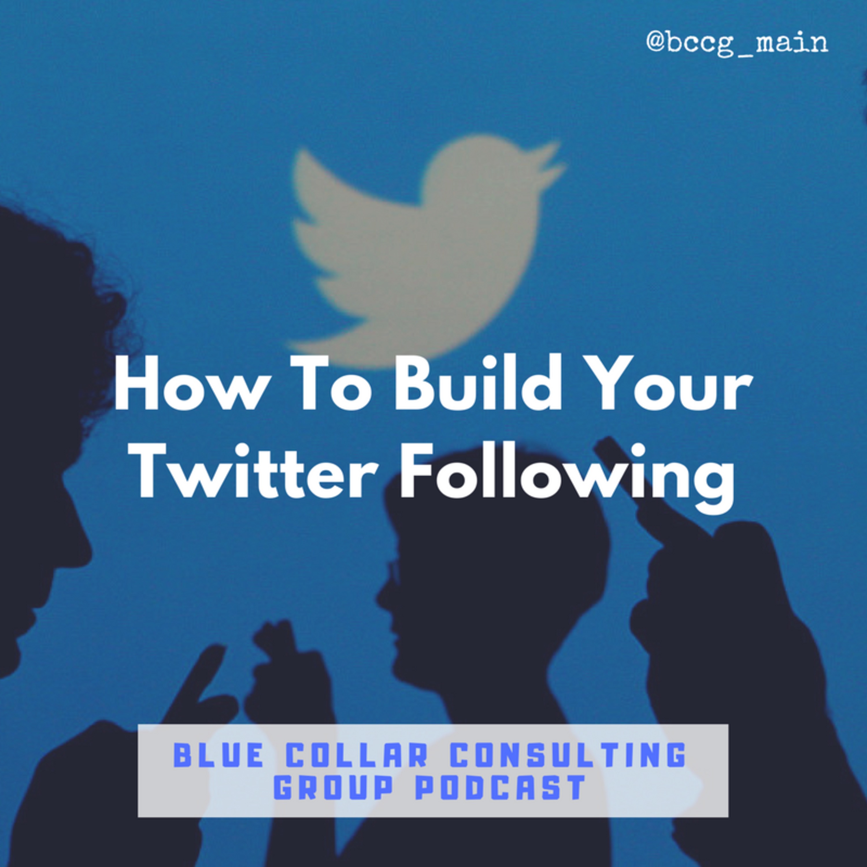 How To Build A Twitter Following episode artwork