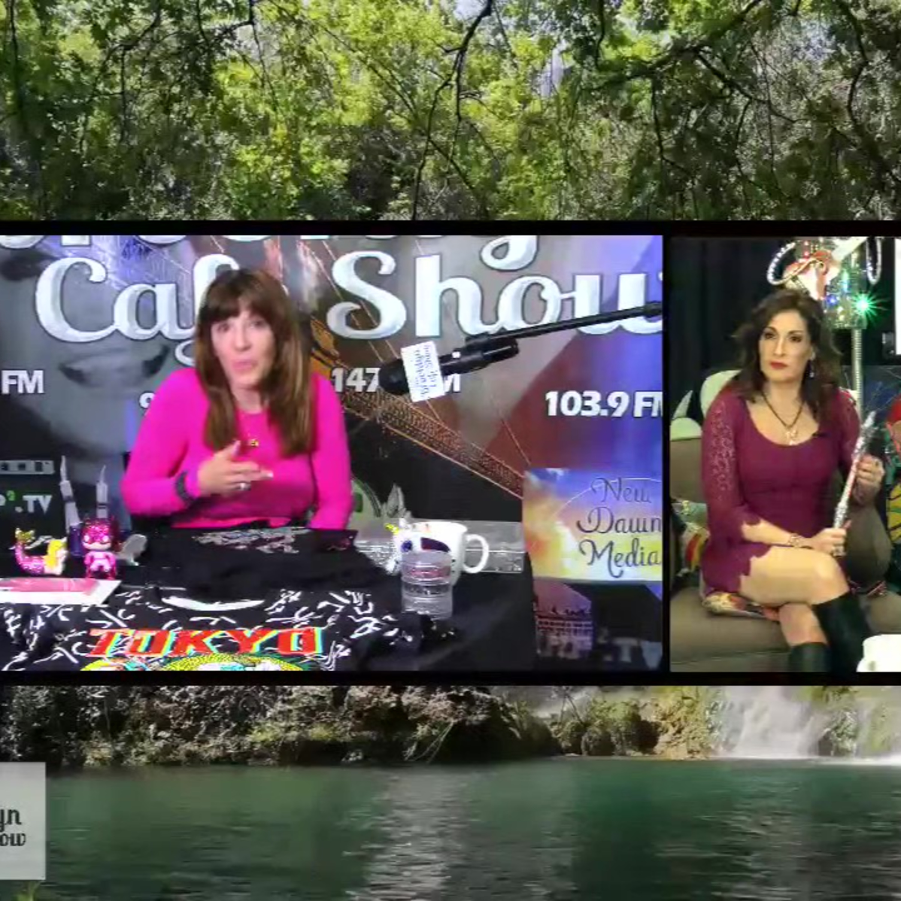 The brooklyn cafe afternoon show episode artwork