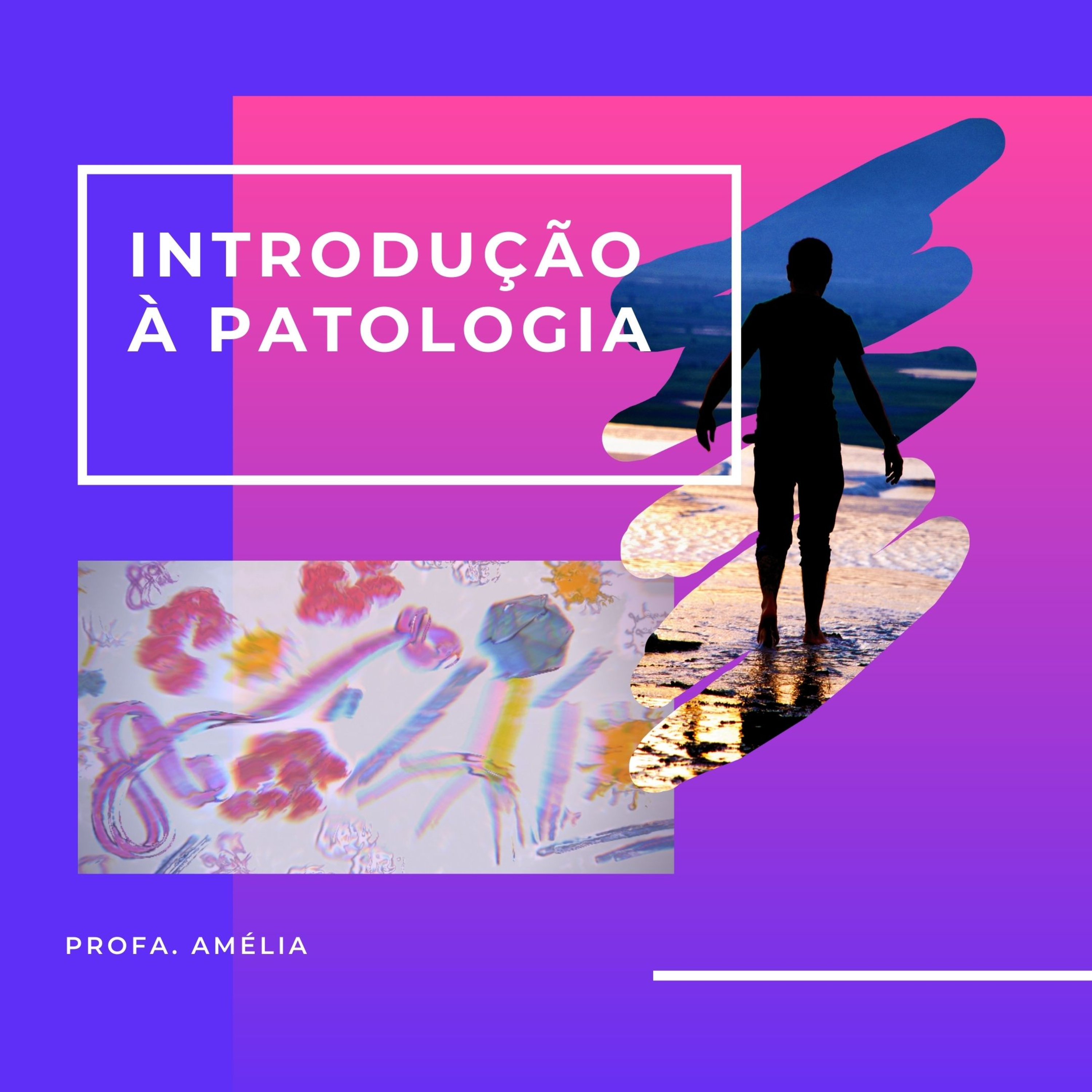 Trocando Ideias com a Professora