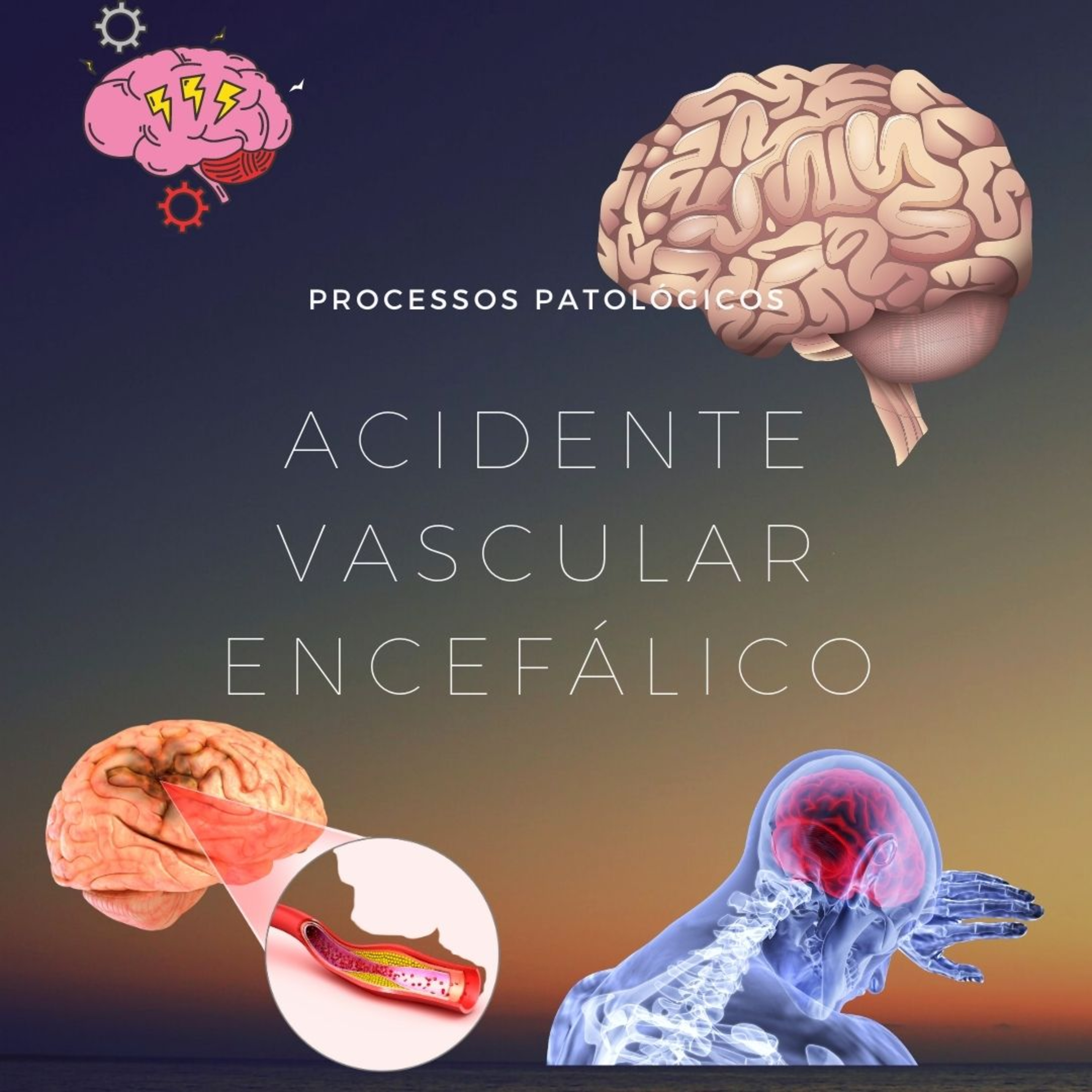 Trocando Ideias com a Professora