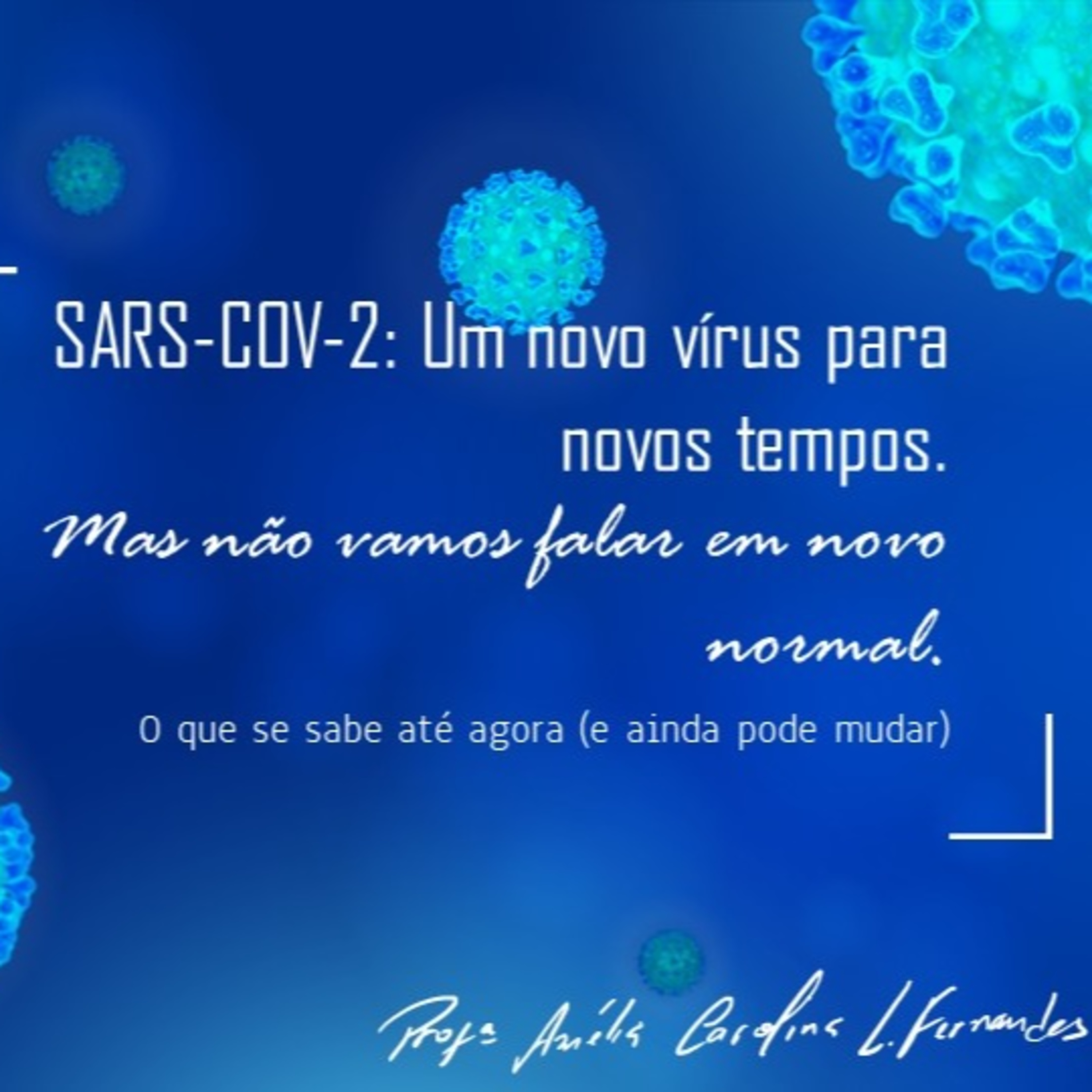 Trocando Ideias com a Professora