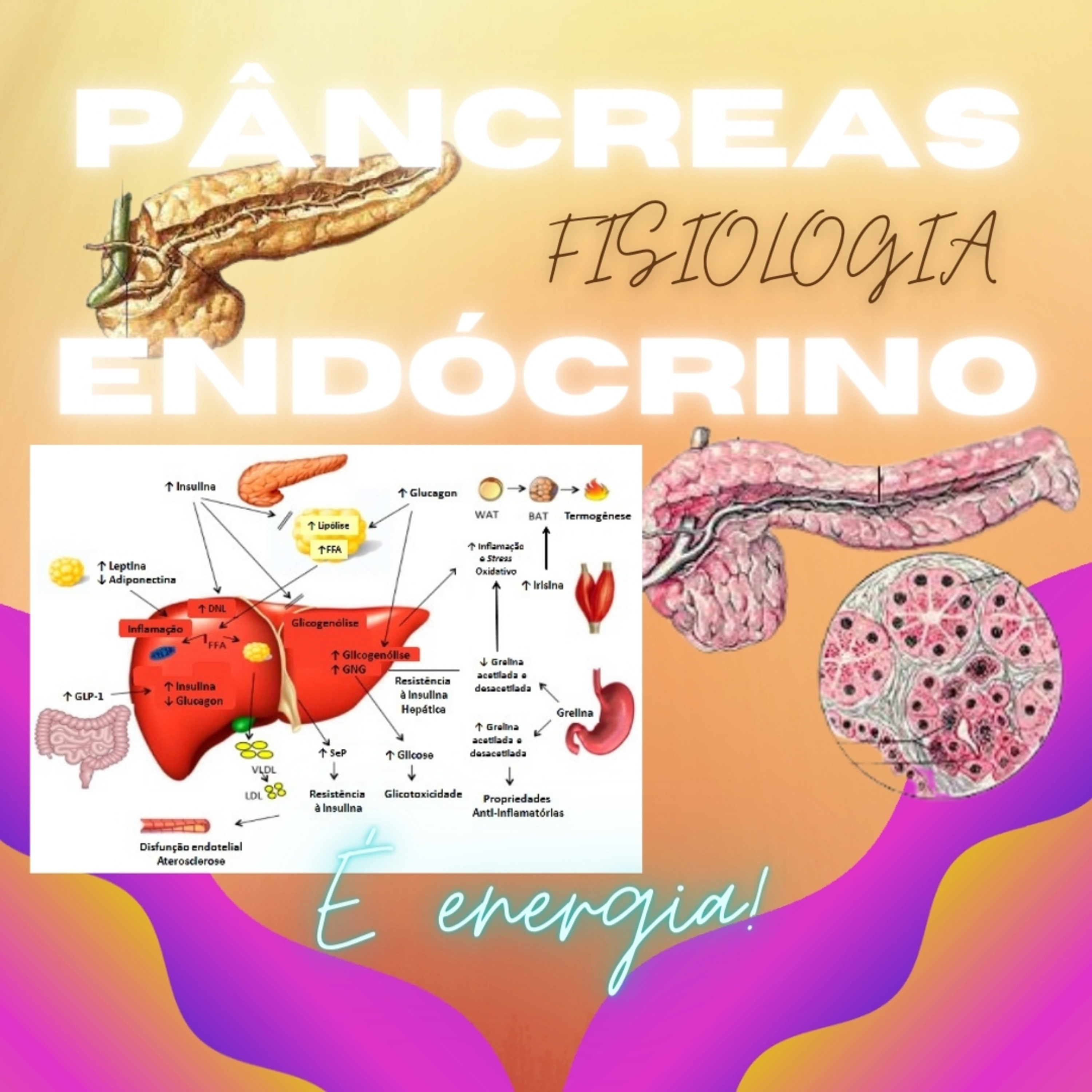 Trocando Ideias com a Professora