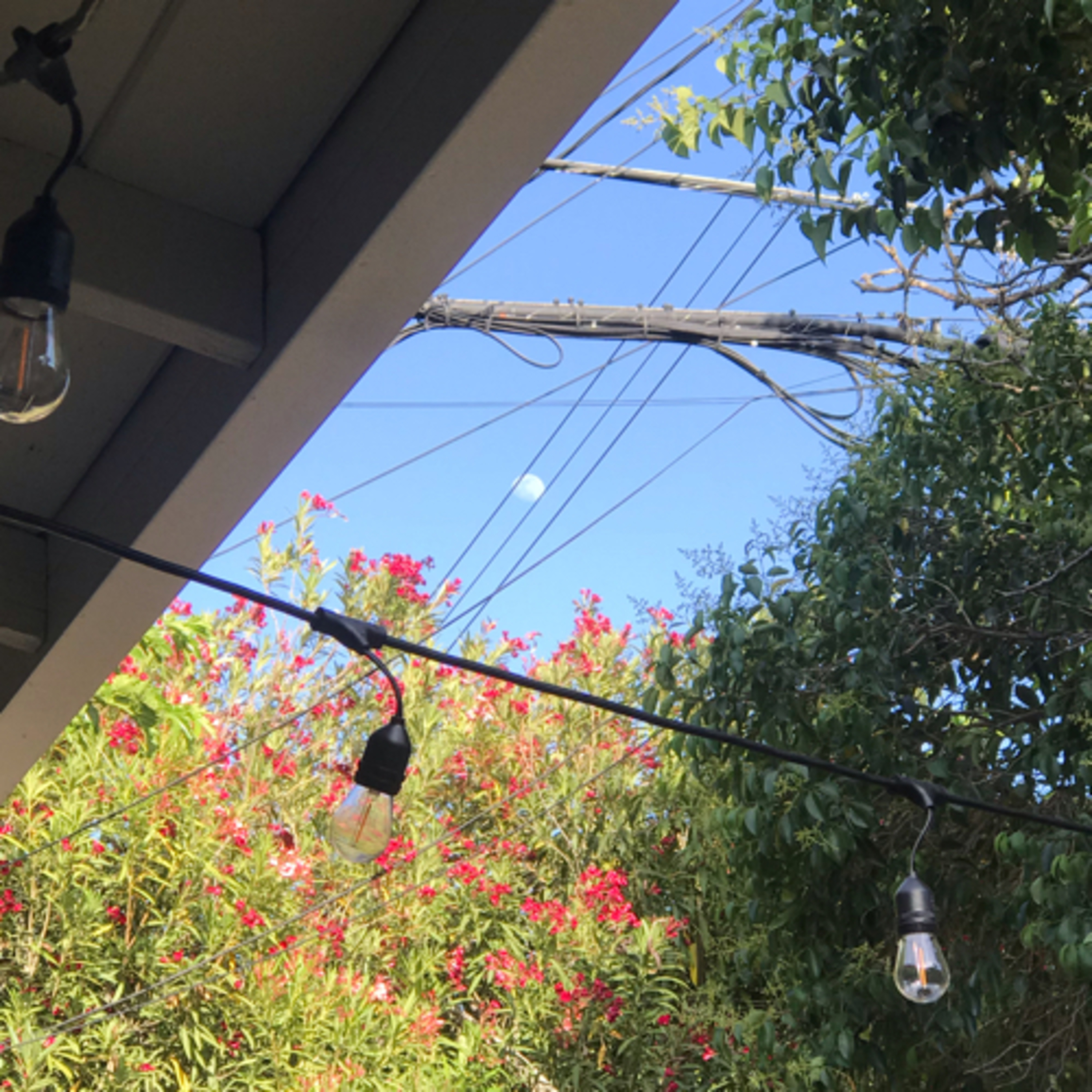 stream of consciousWes