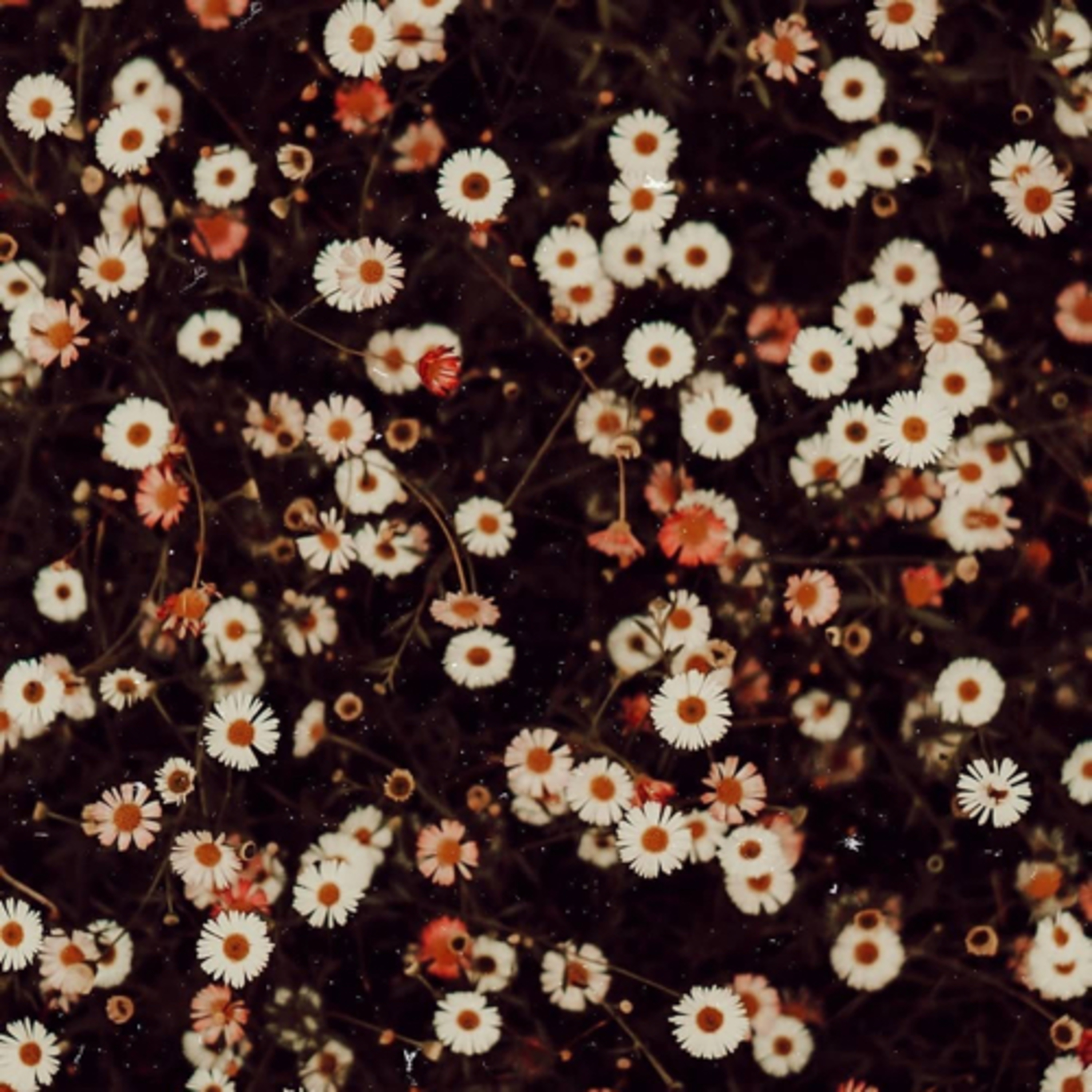 Story time: Orpheus and Eurydice