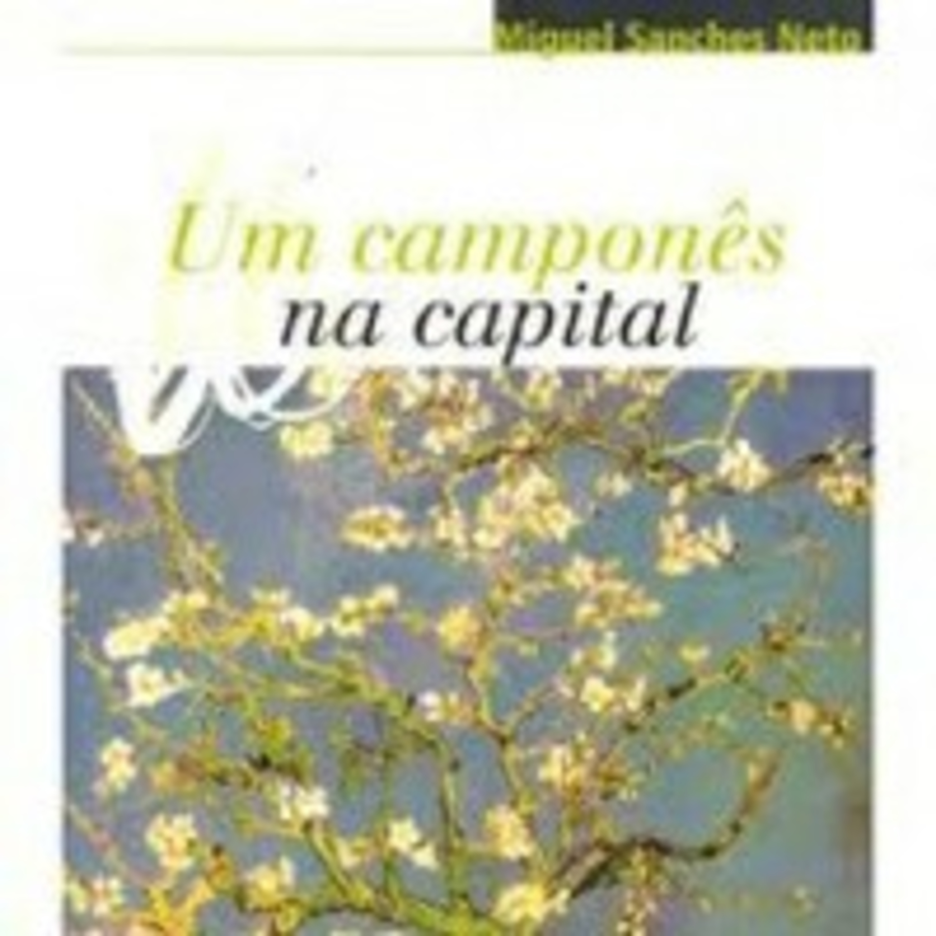 Poetizando com Letras