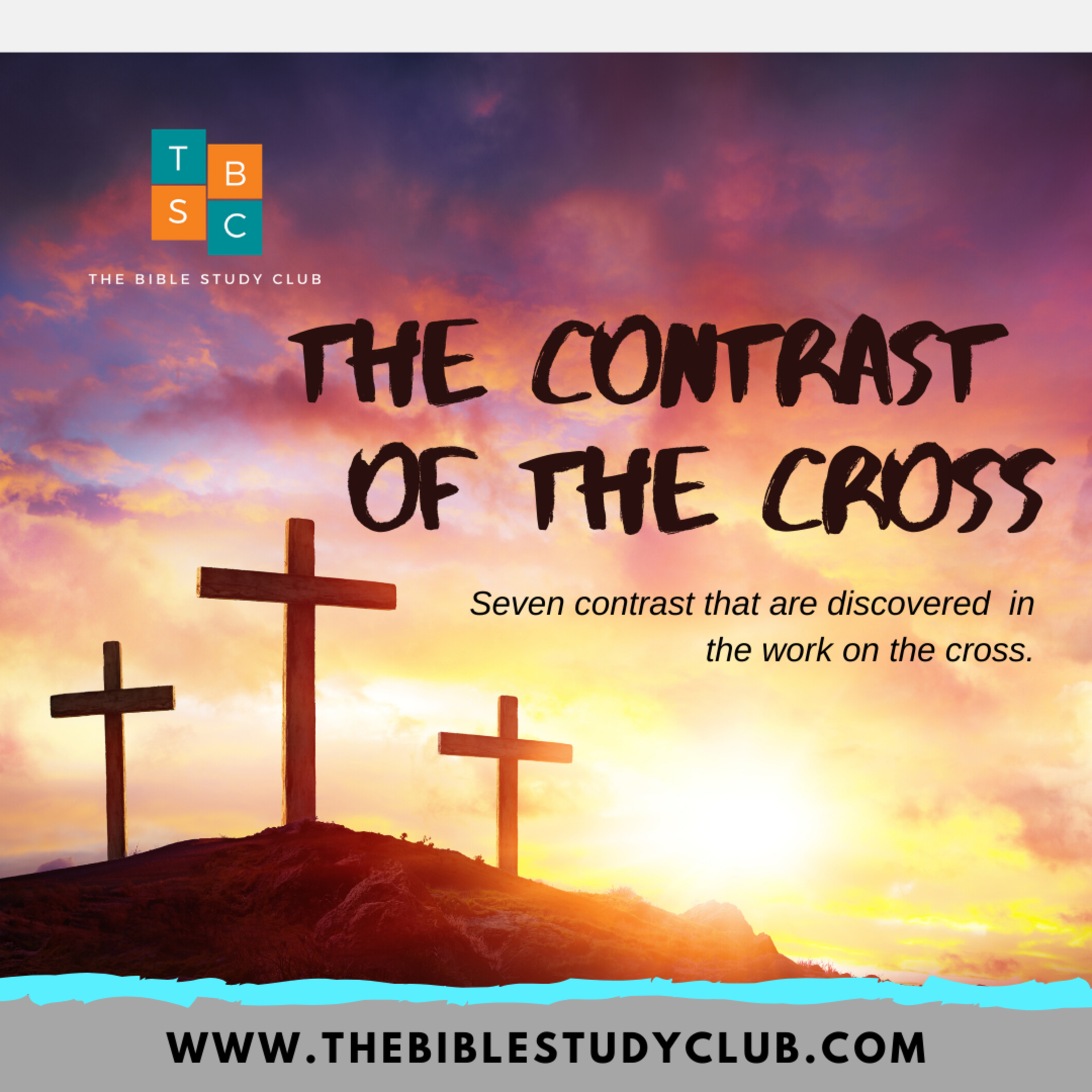 The Bible Study Club