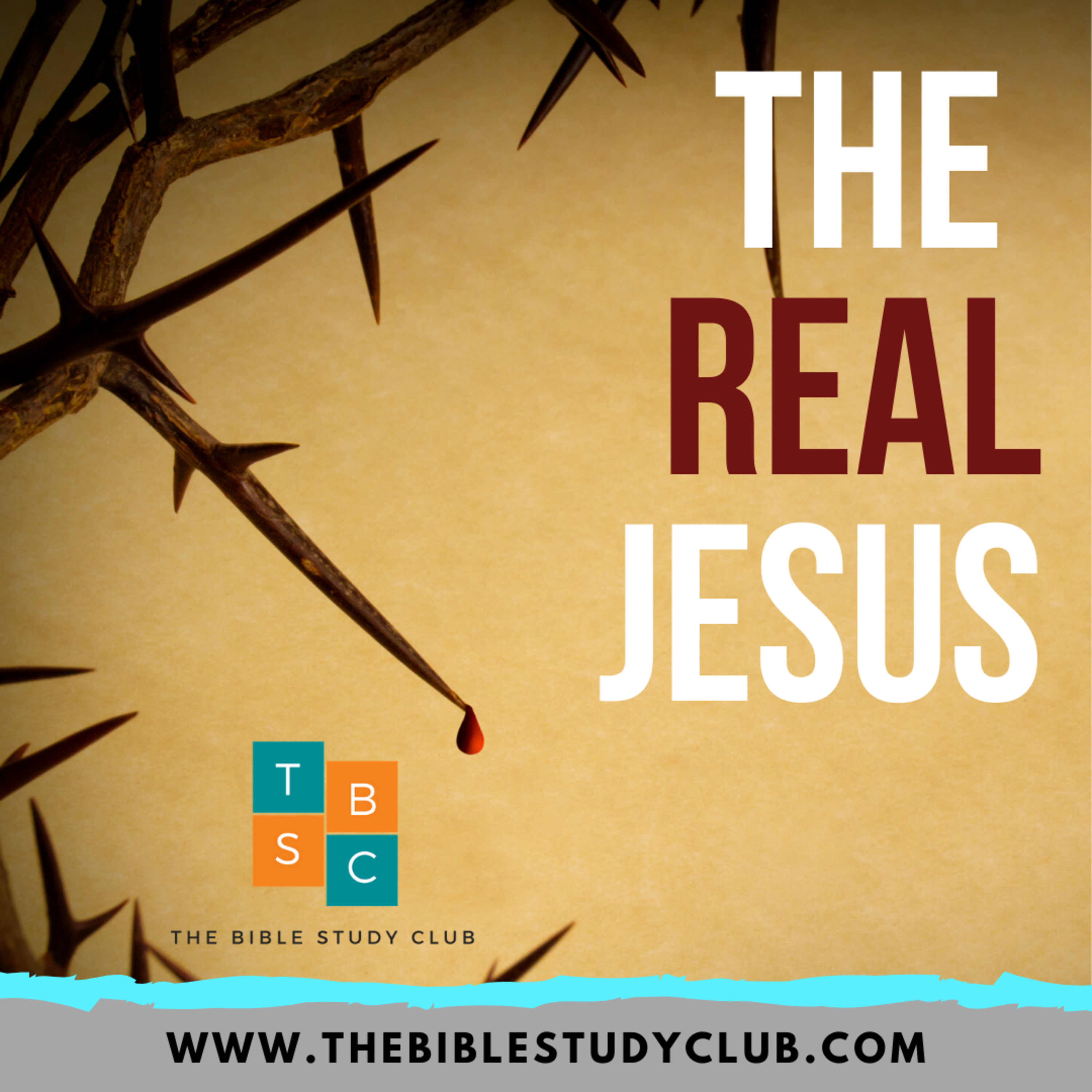 The Bible Study Club