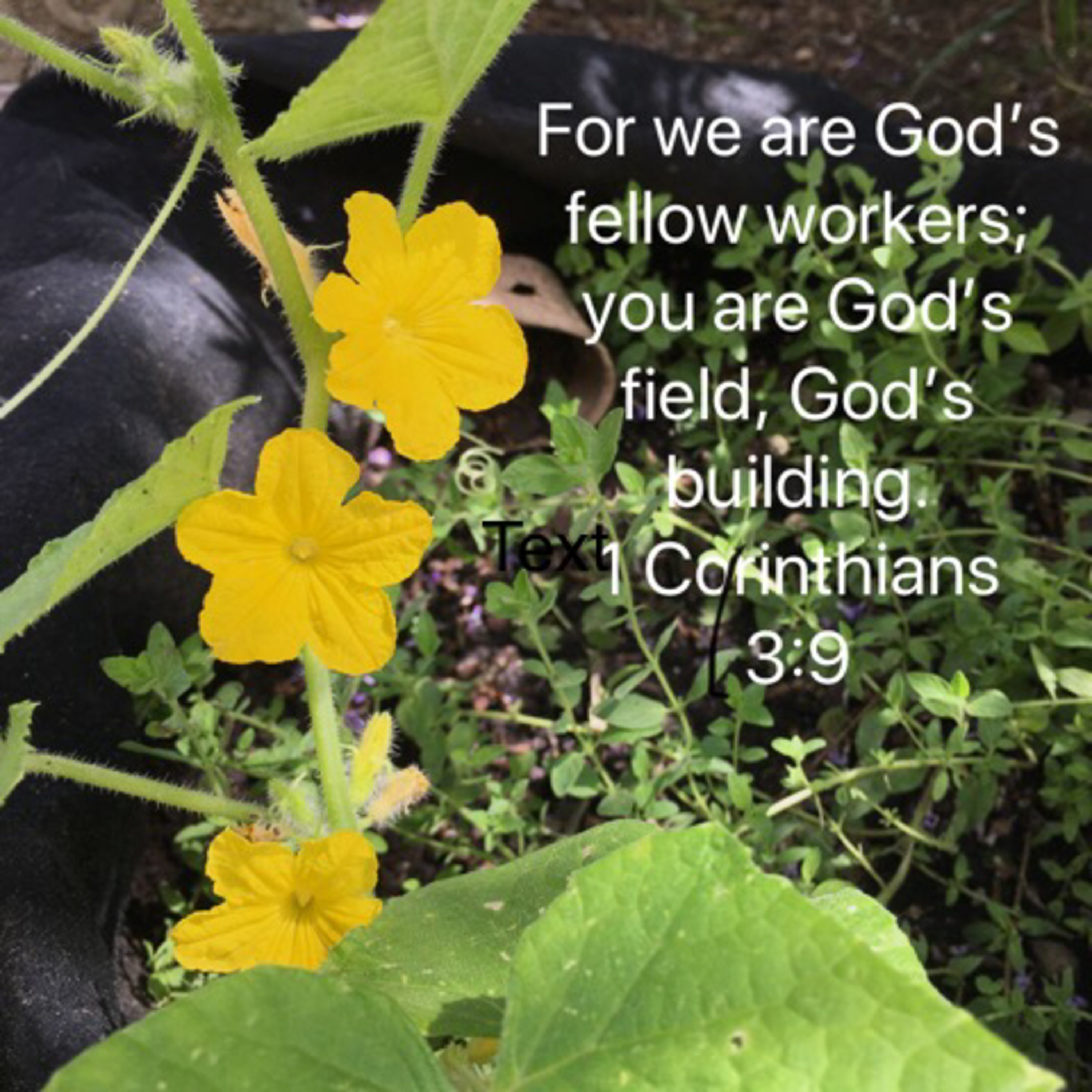 Speaking God’s Word