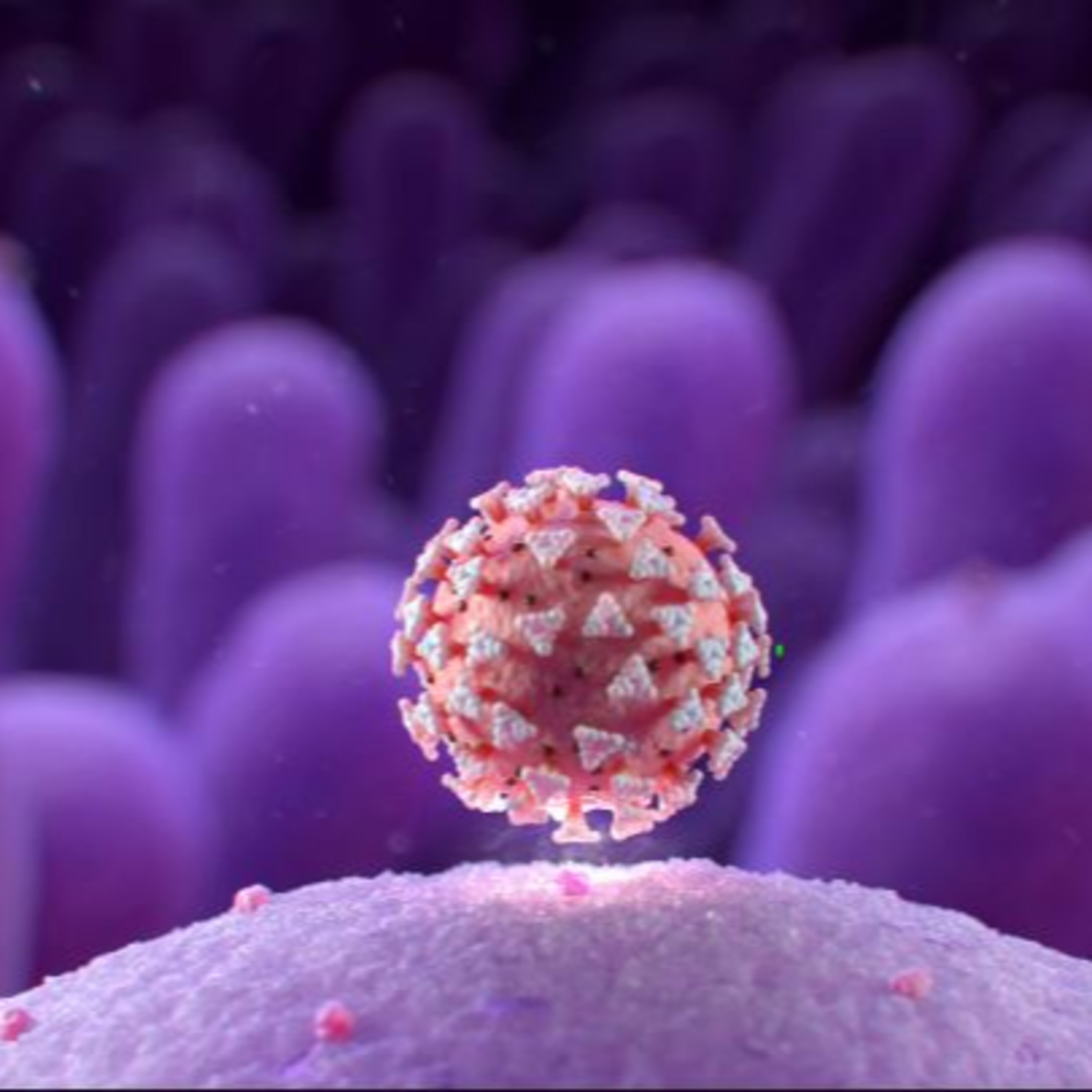 The SunnyPoint Podcast