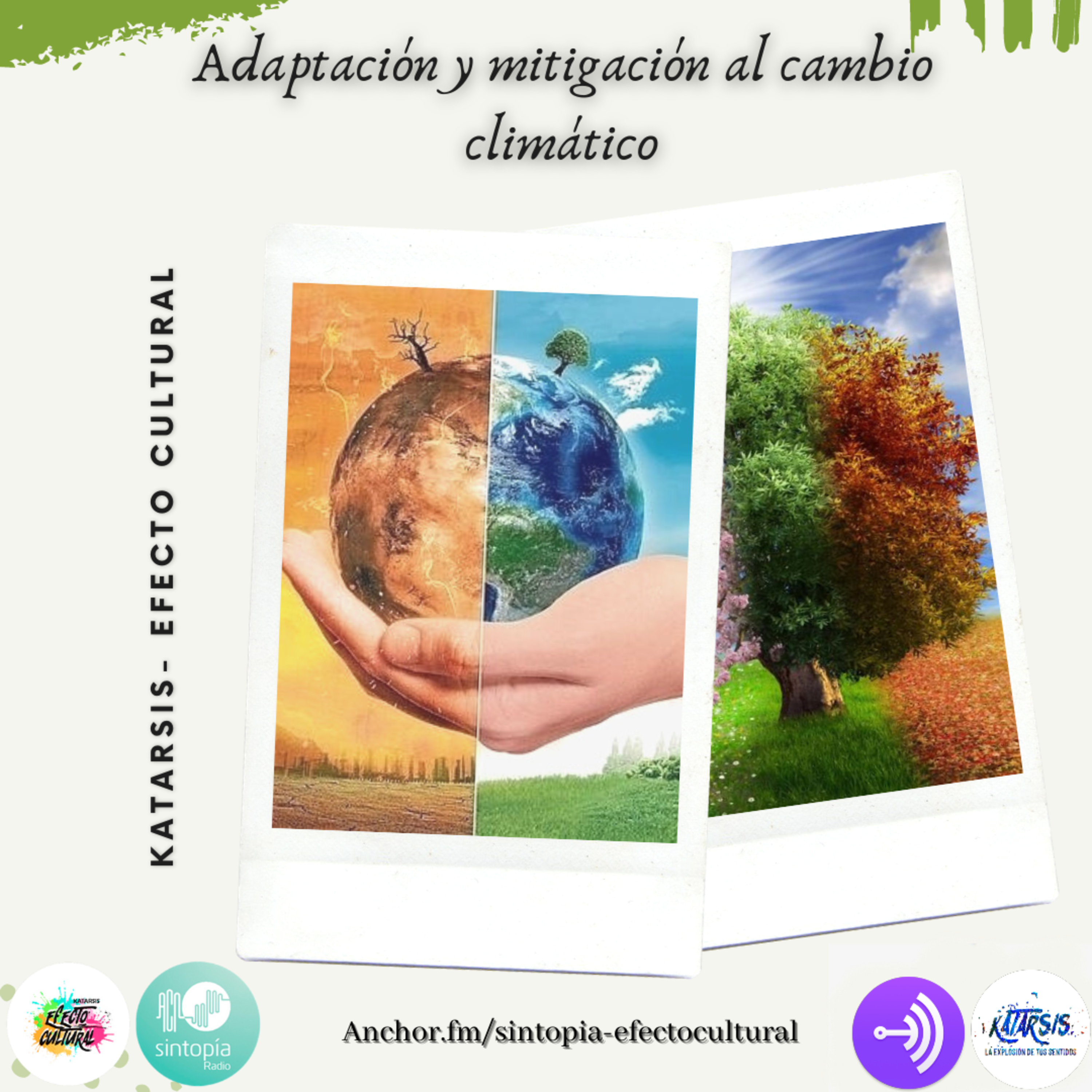 Katarsis: Efecto cultural