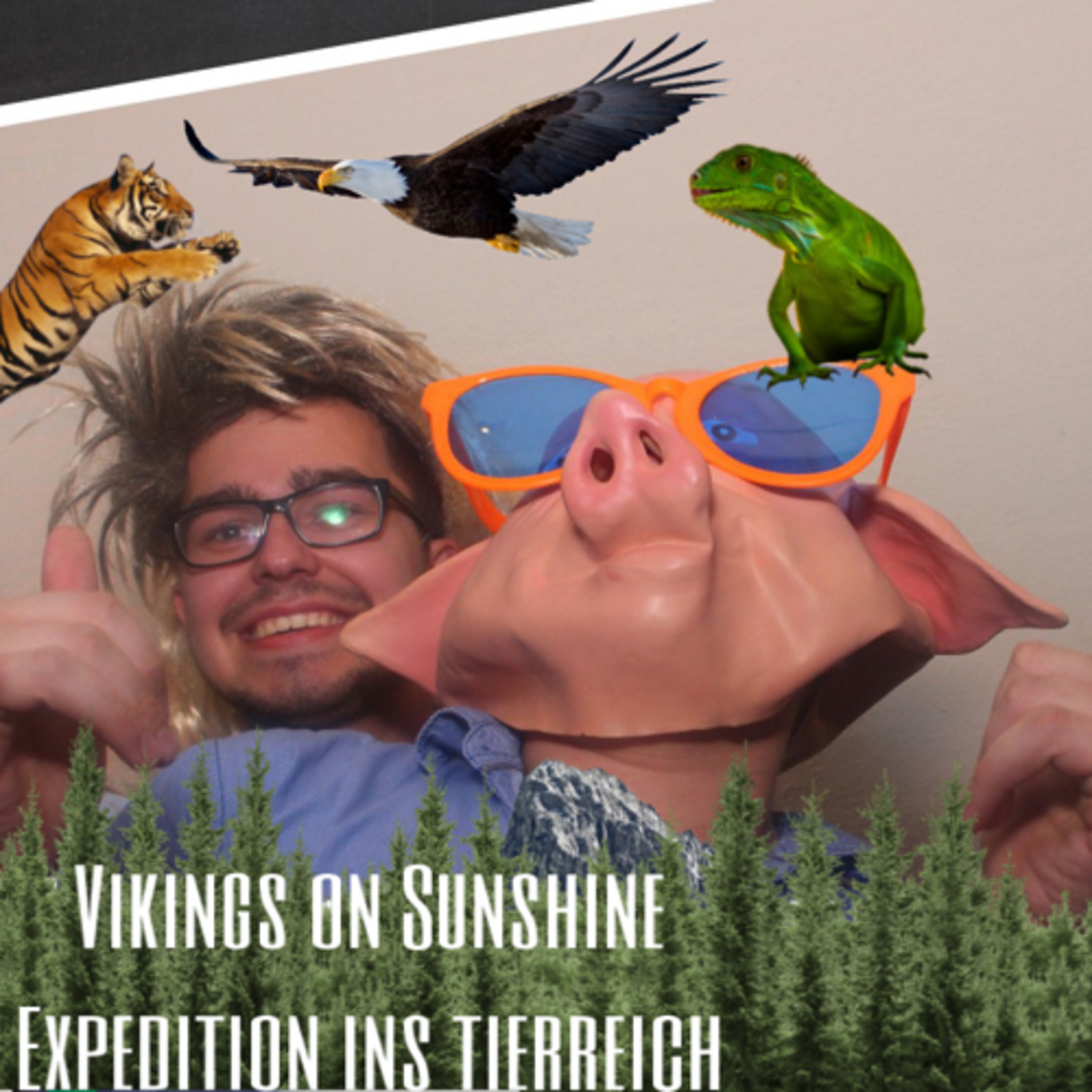 Vikings on Sunshine🍻☀️