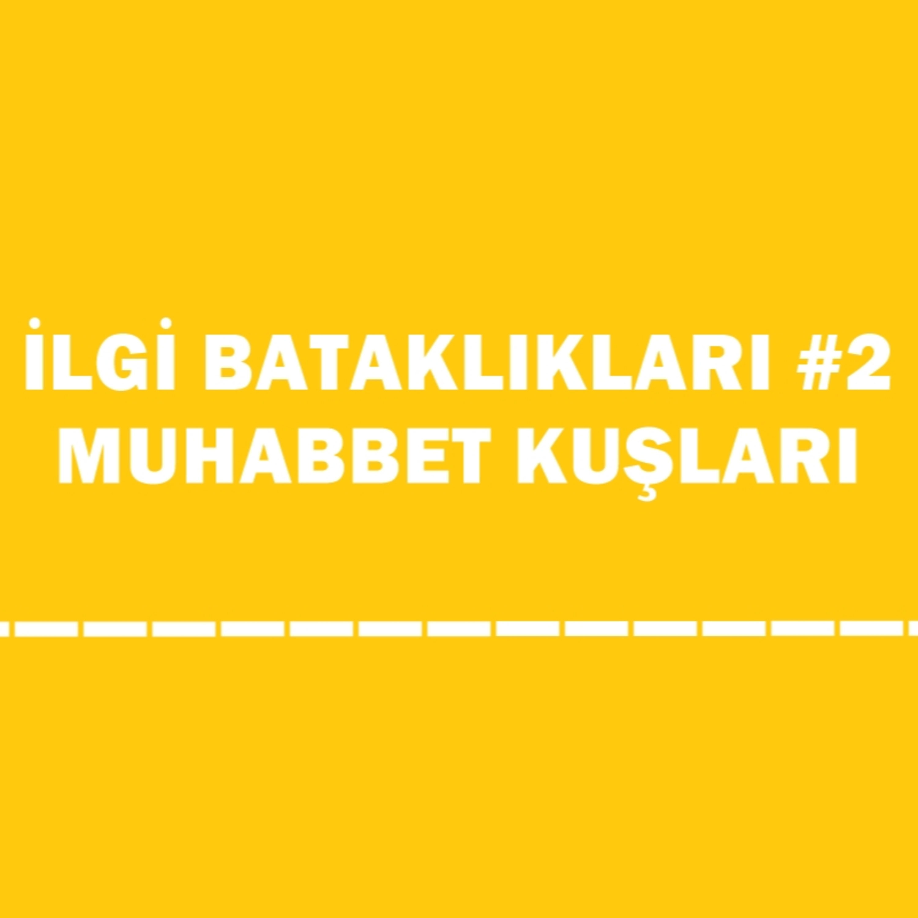 İlgi Bataklıkları #2 | Muhabbet Kuşları Ve Papağanlar episode artwork
