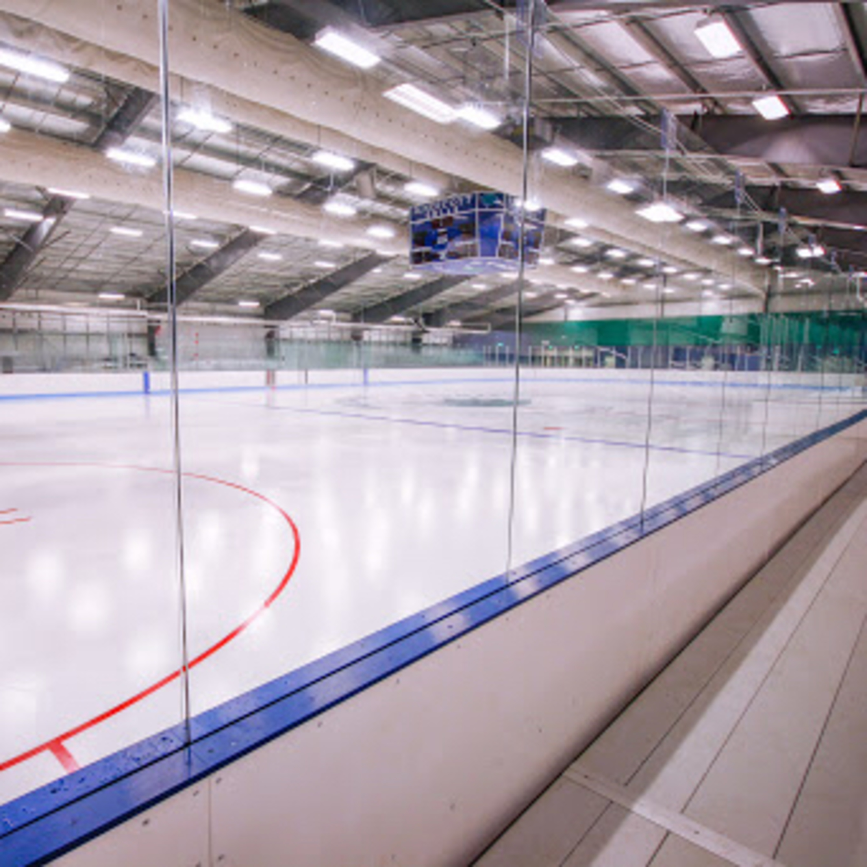 All about hockey