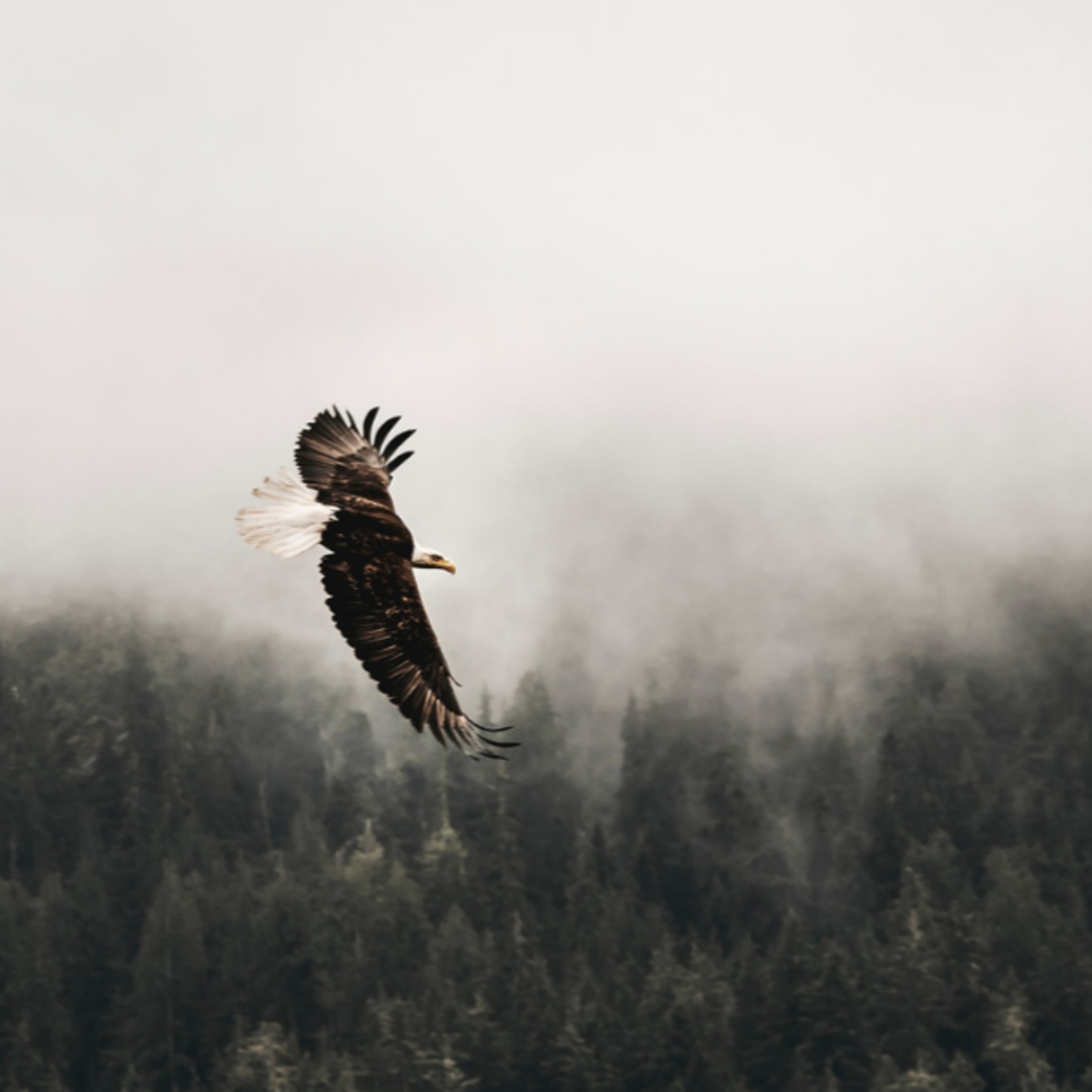 Life in Spirit