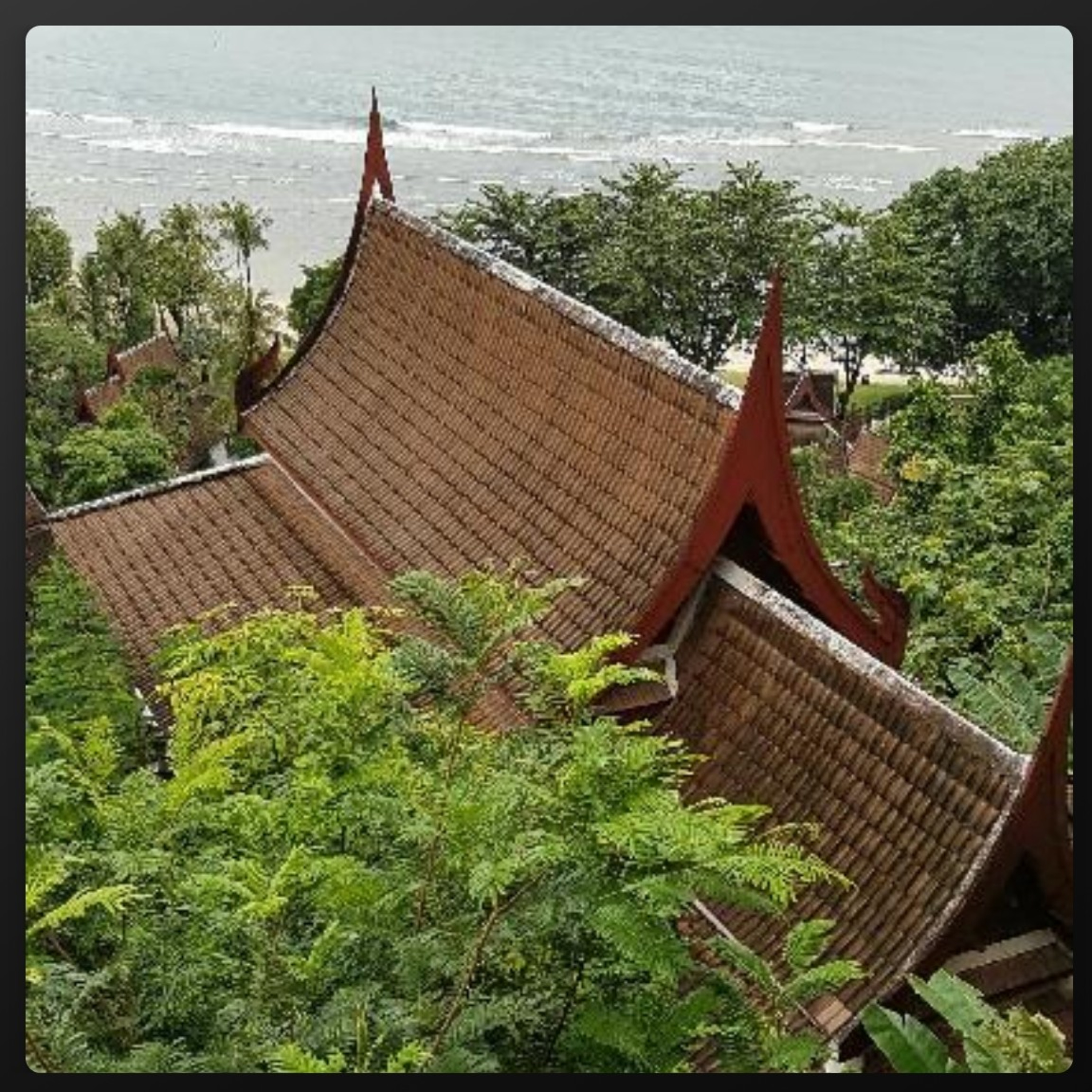 002 ASMR Thailand Phuket frogs at night
