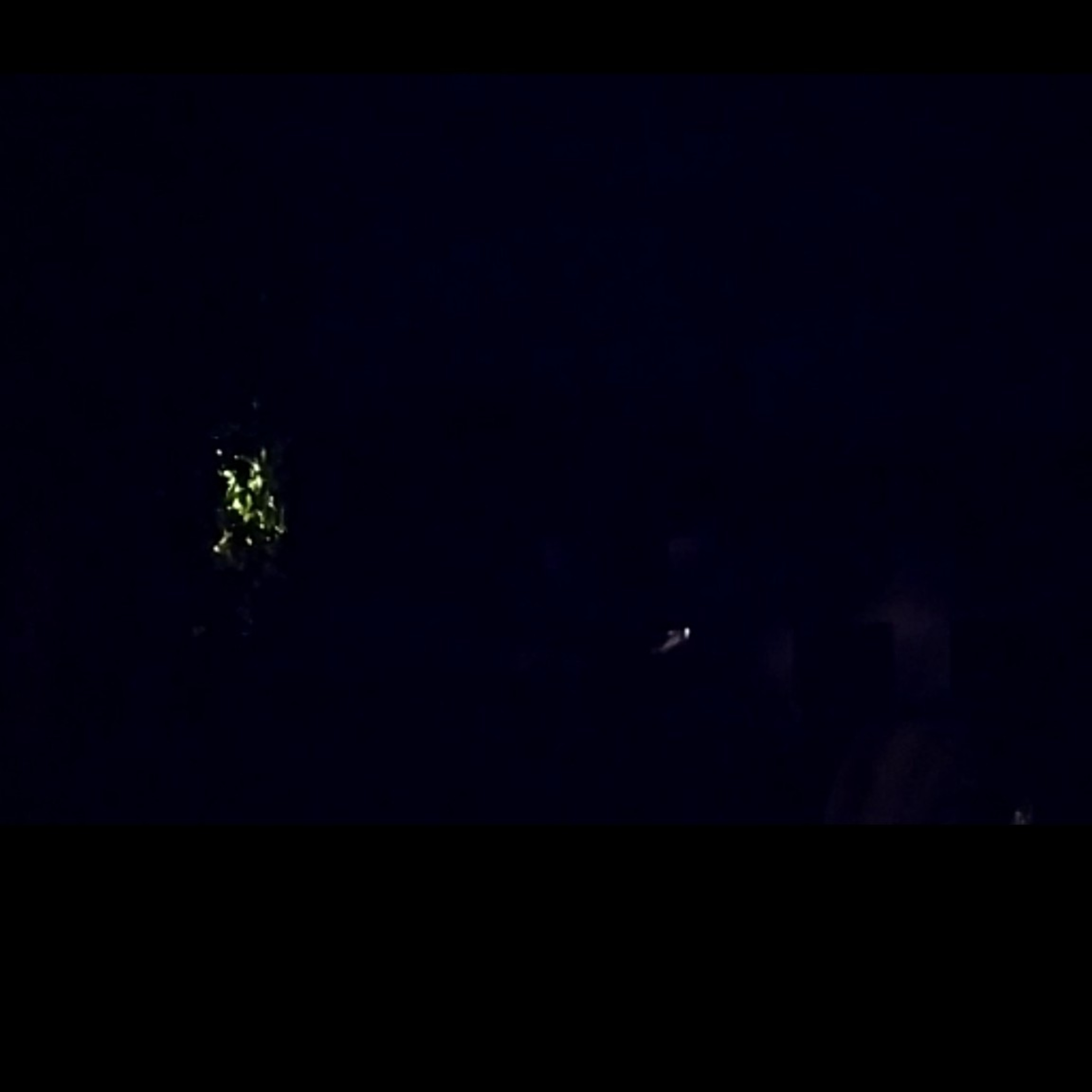 023 ASMR Germany Dahlenberg late summer night