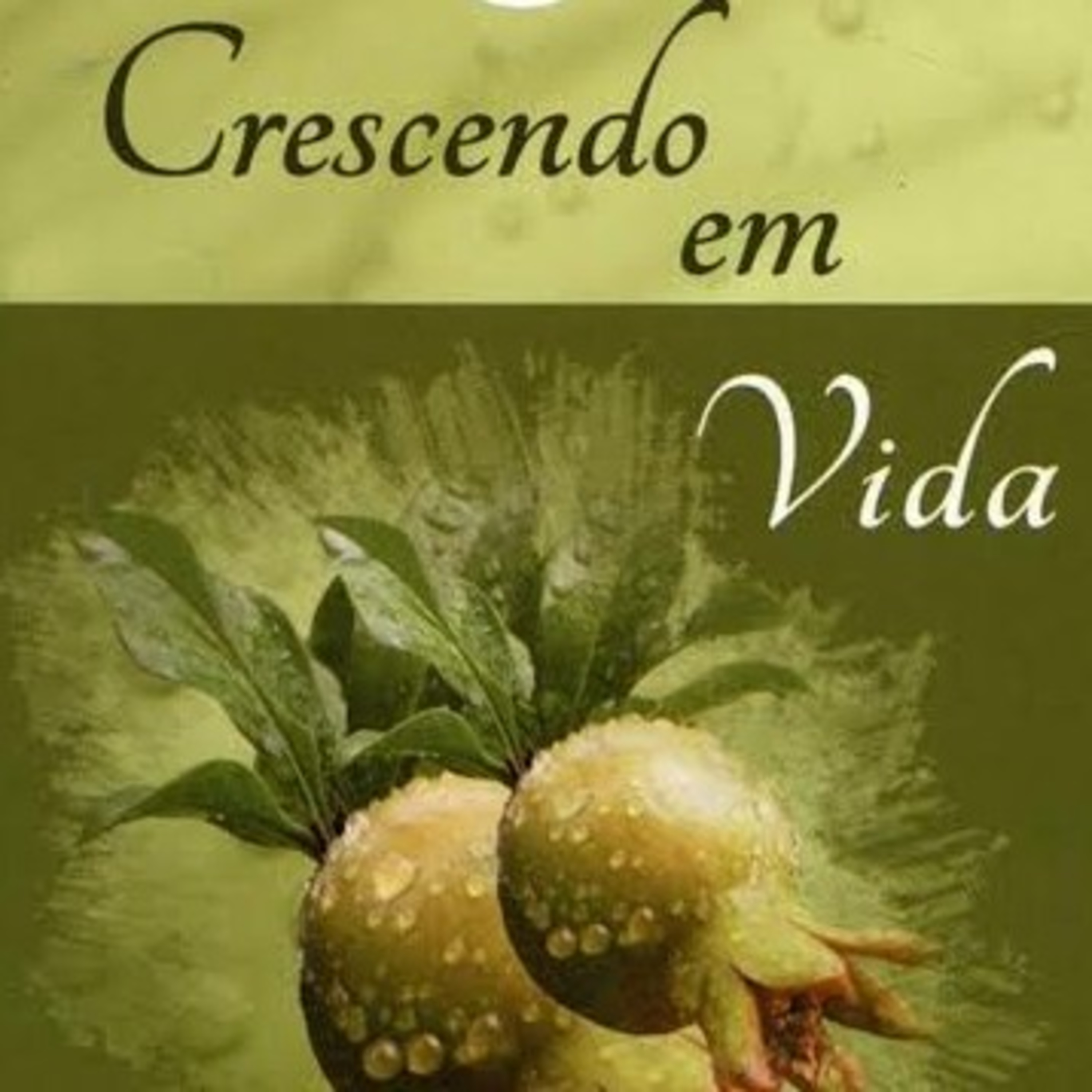 Igreja em Rio Branco