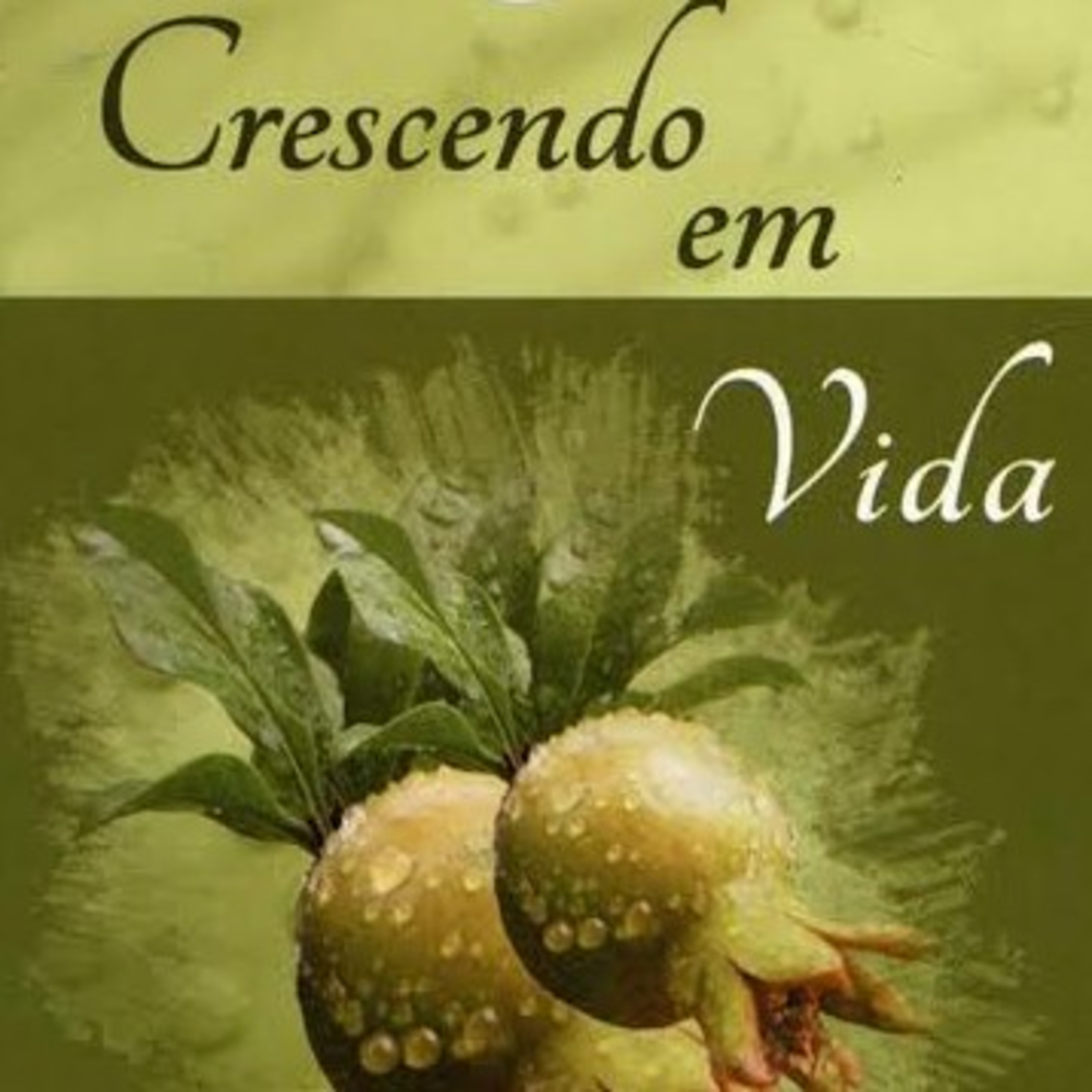 Igreja em Rio Branco