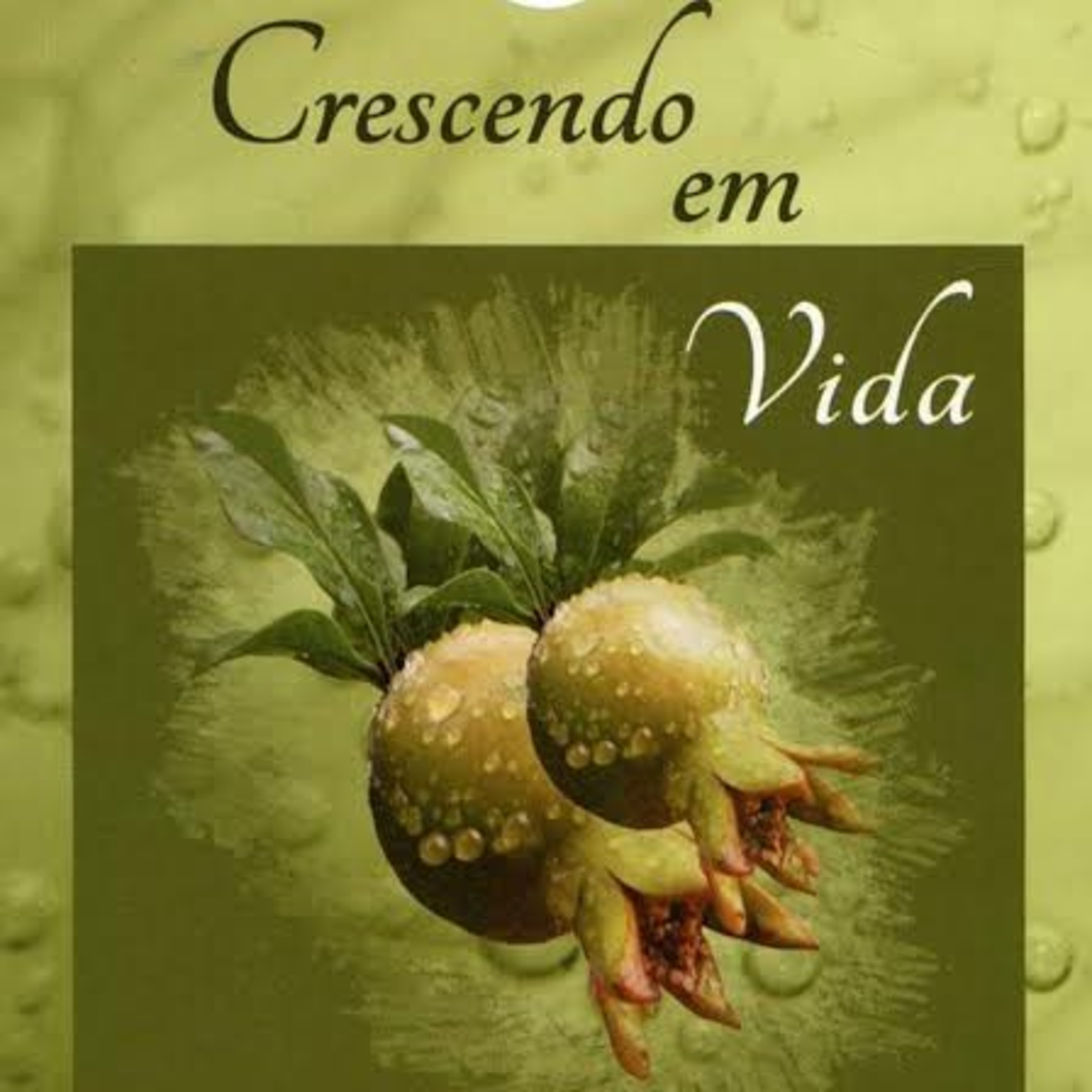Igreja em Rio Branco