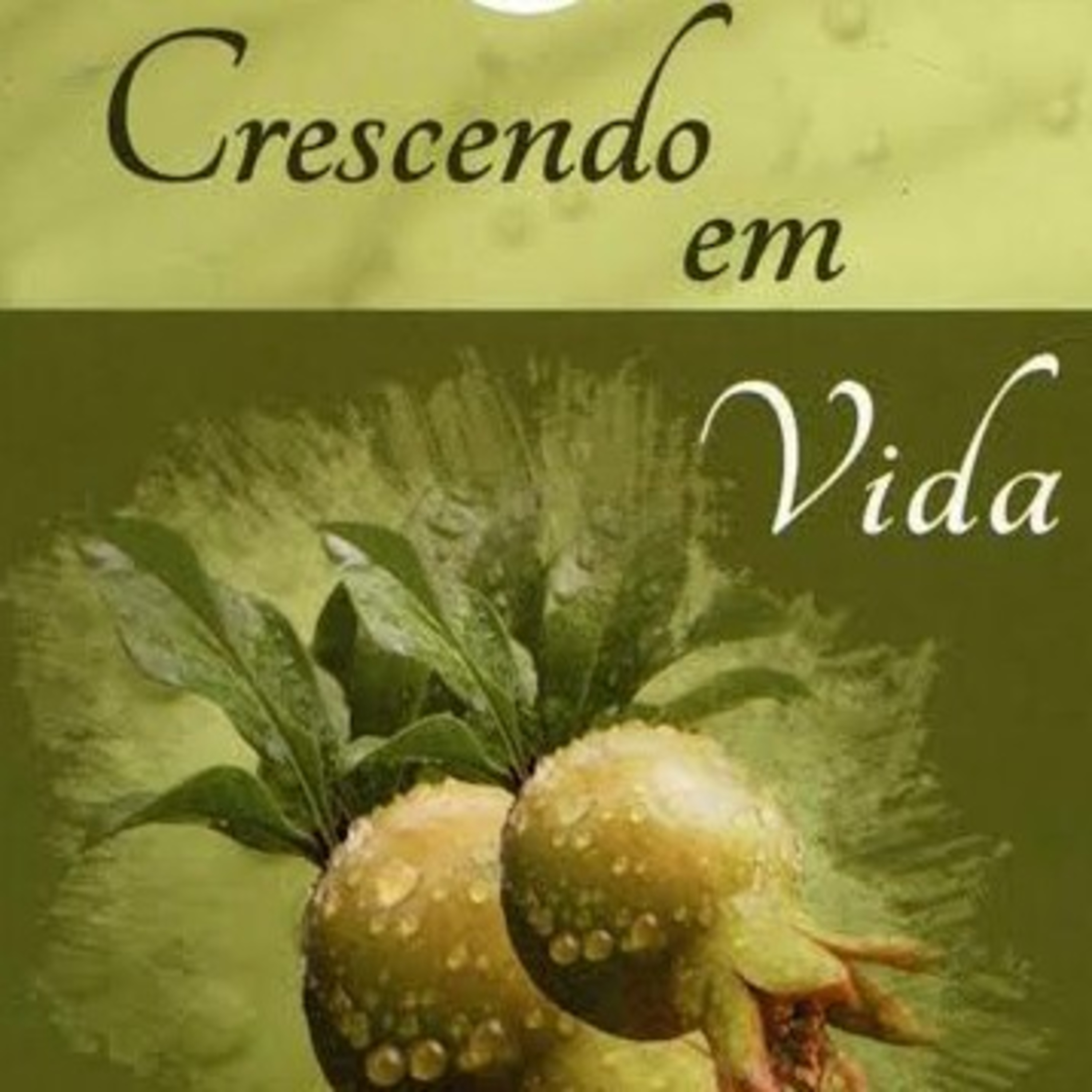 Igreja em Rio Branco