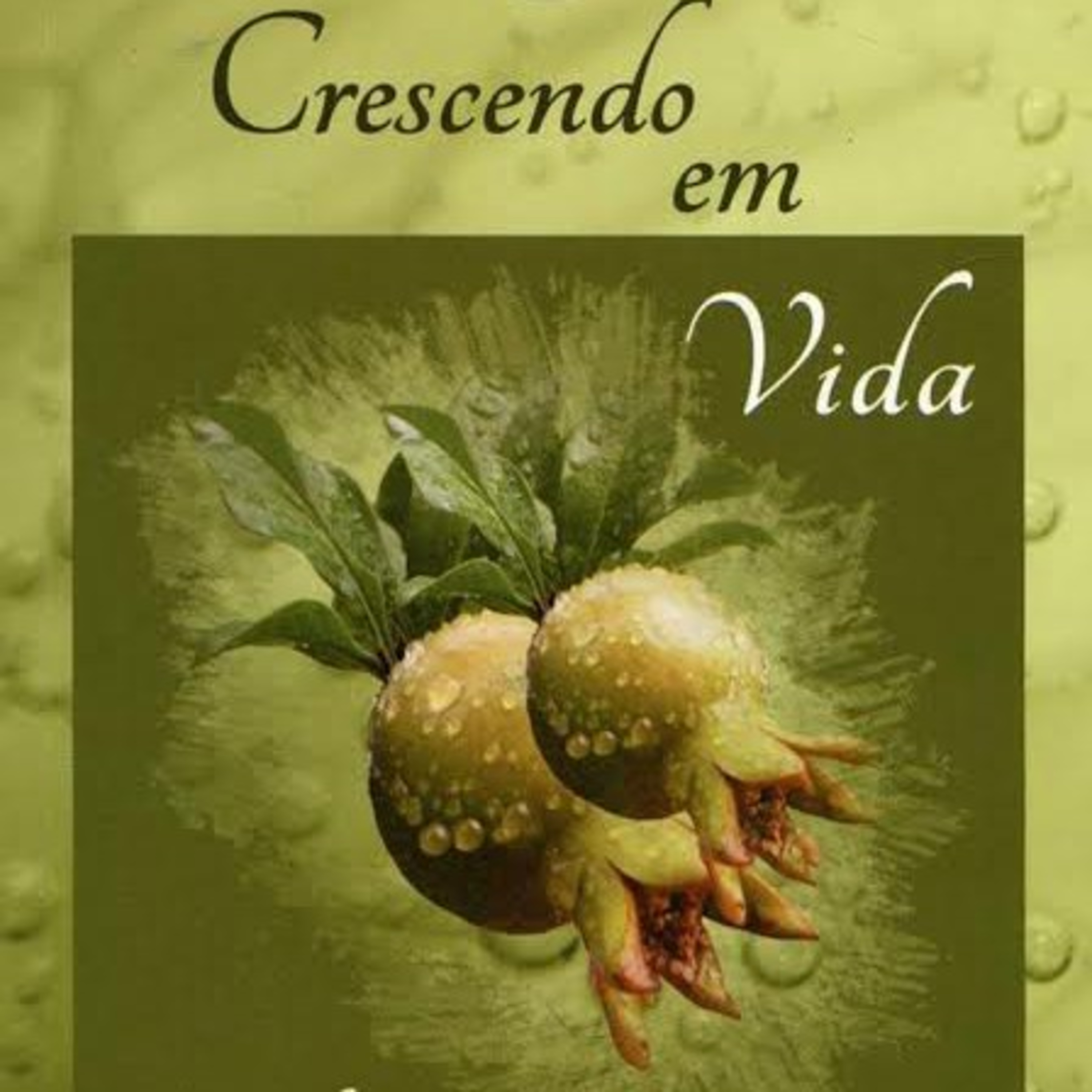 Igreja em Rio Branco