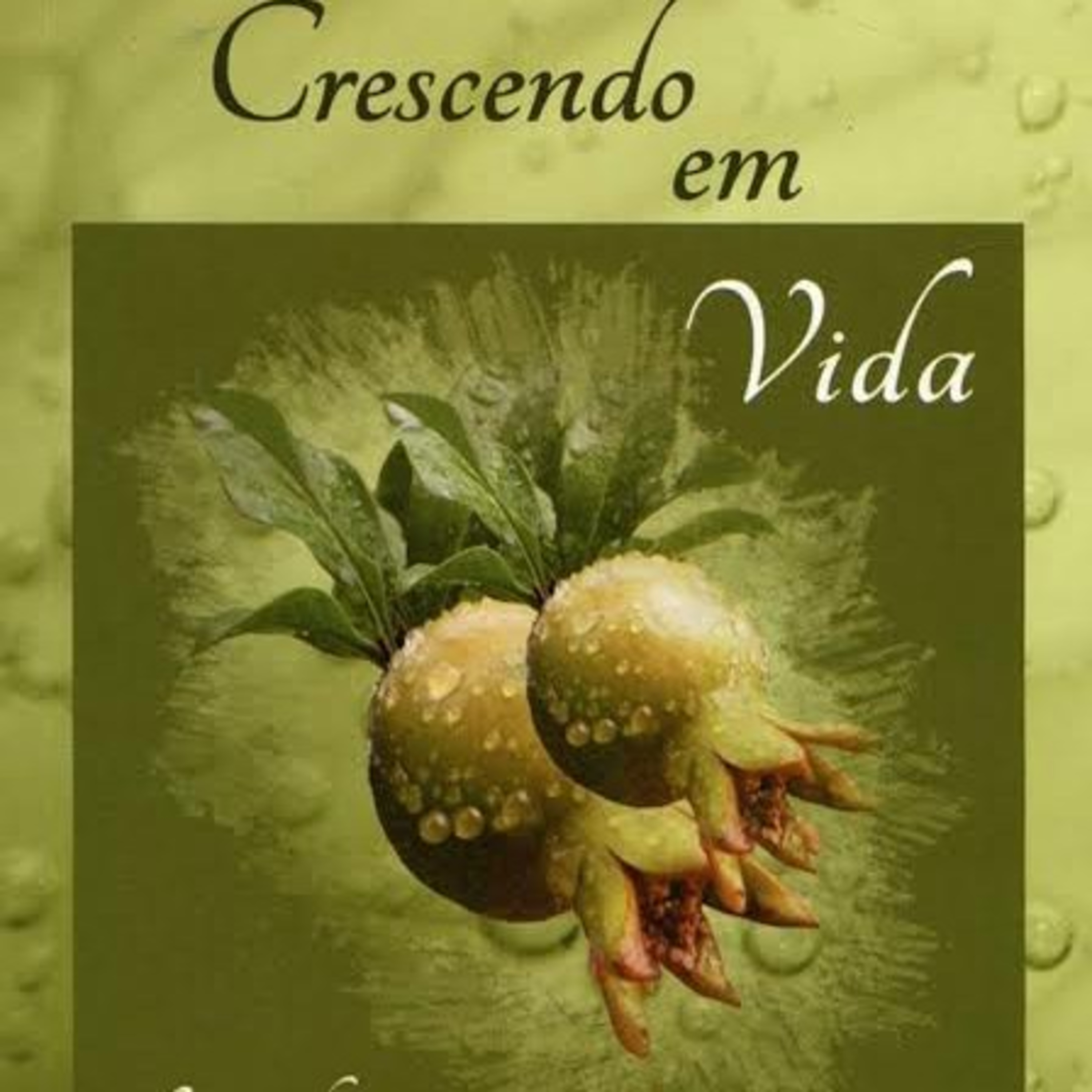 Igreja em Rio Branco